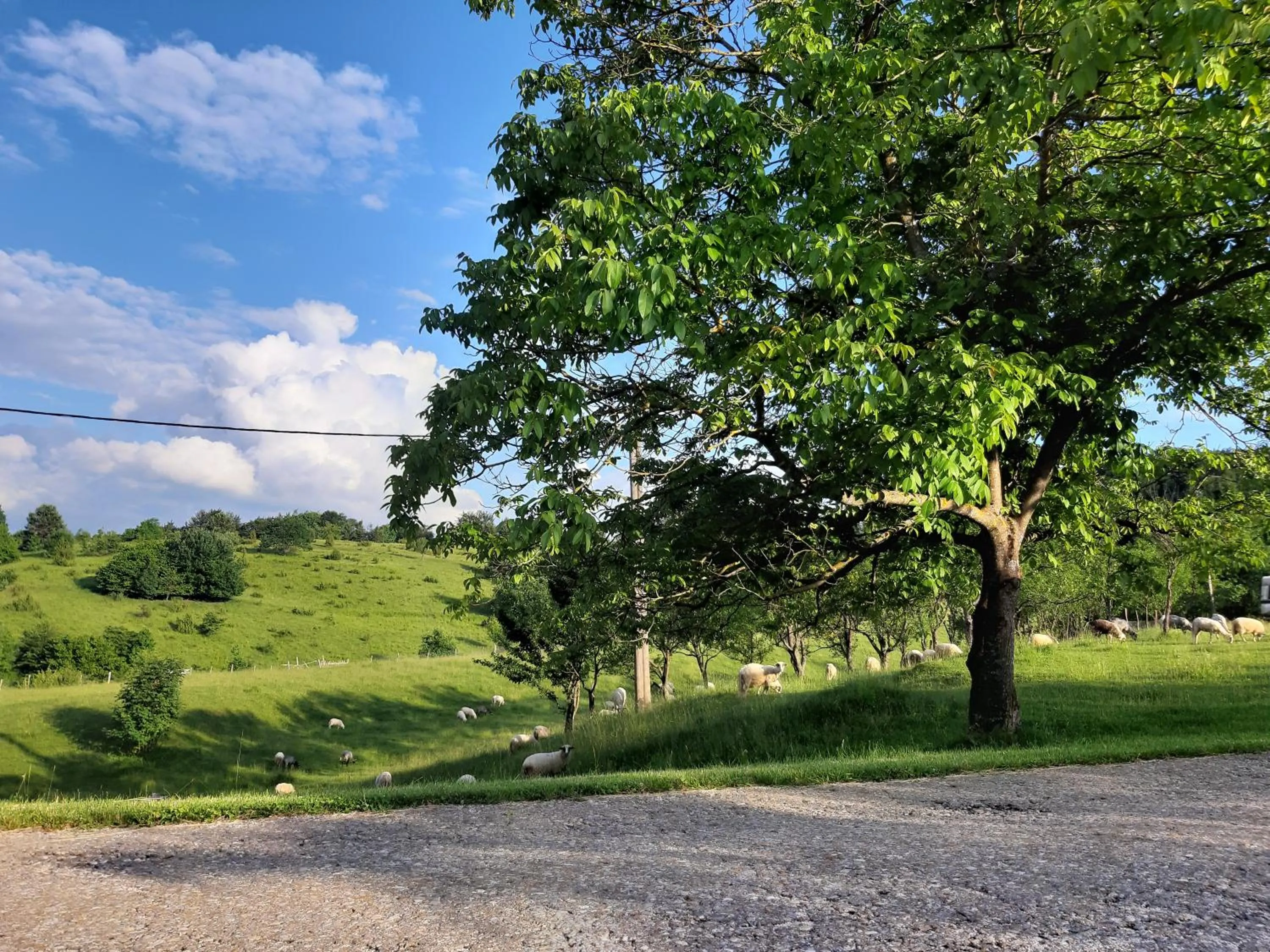 Natural landscape in Pansion Breza