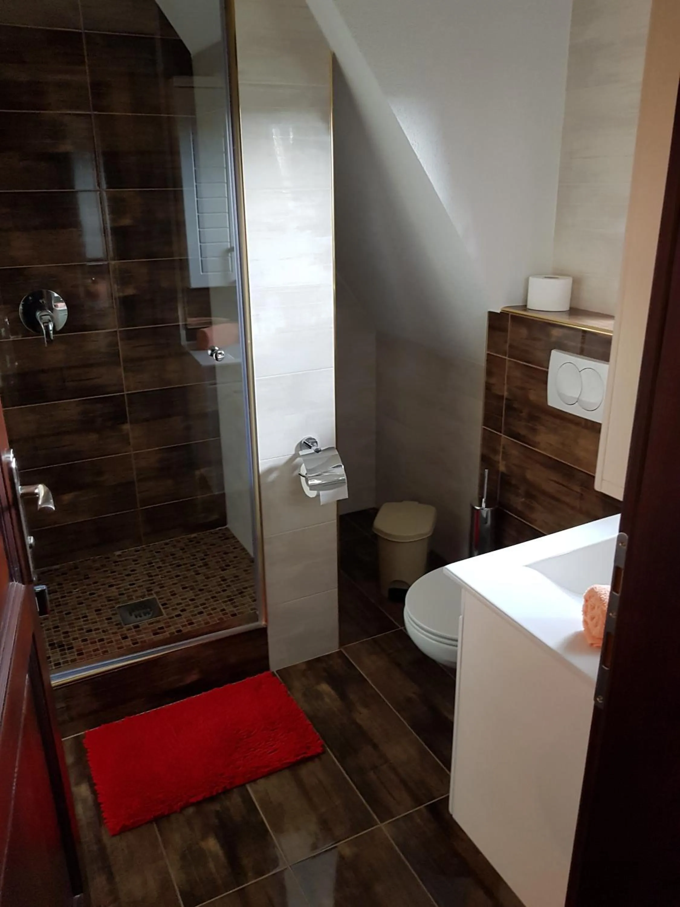 Shower in Pansion Breza