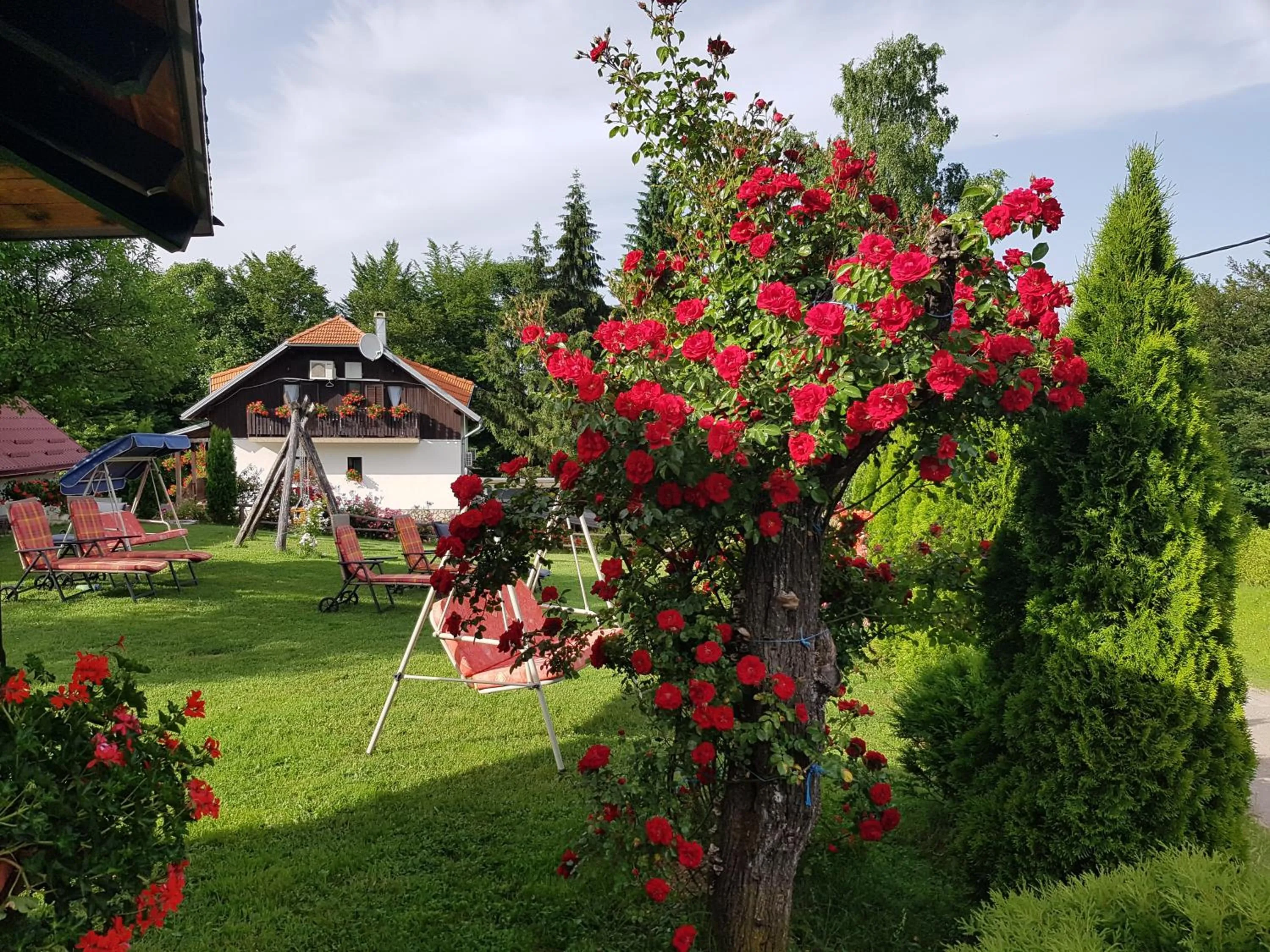 Garden in Pansion Breza