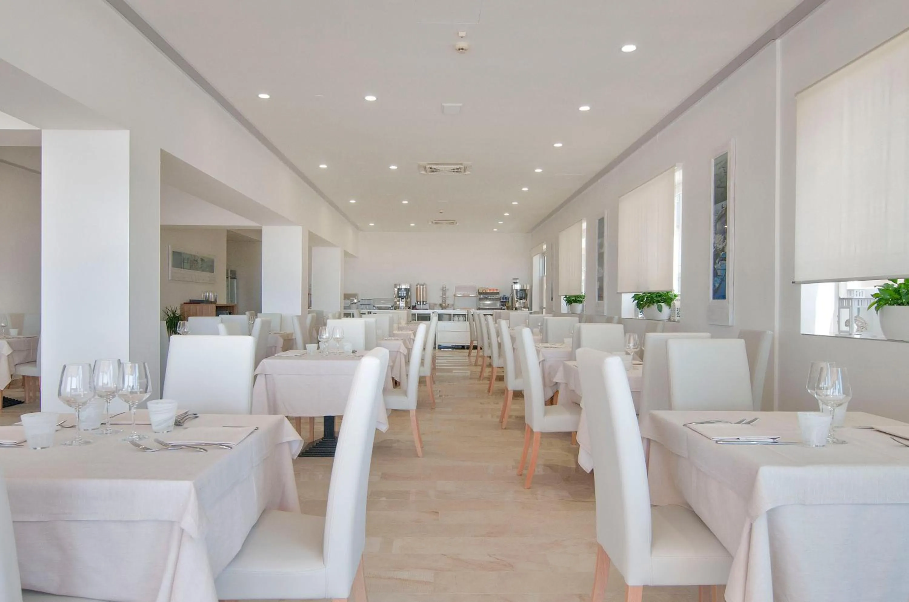 Restaurant/places to eat in Hotel Levante