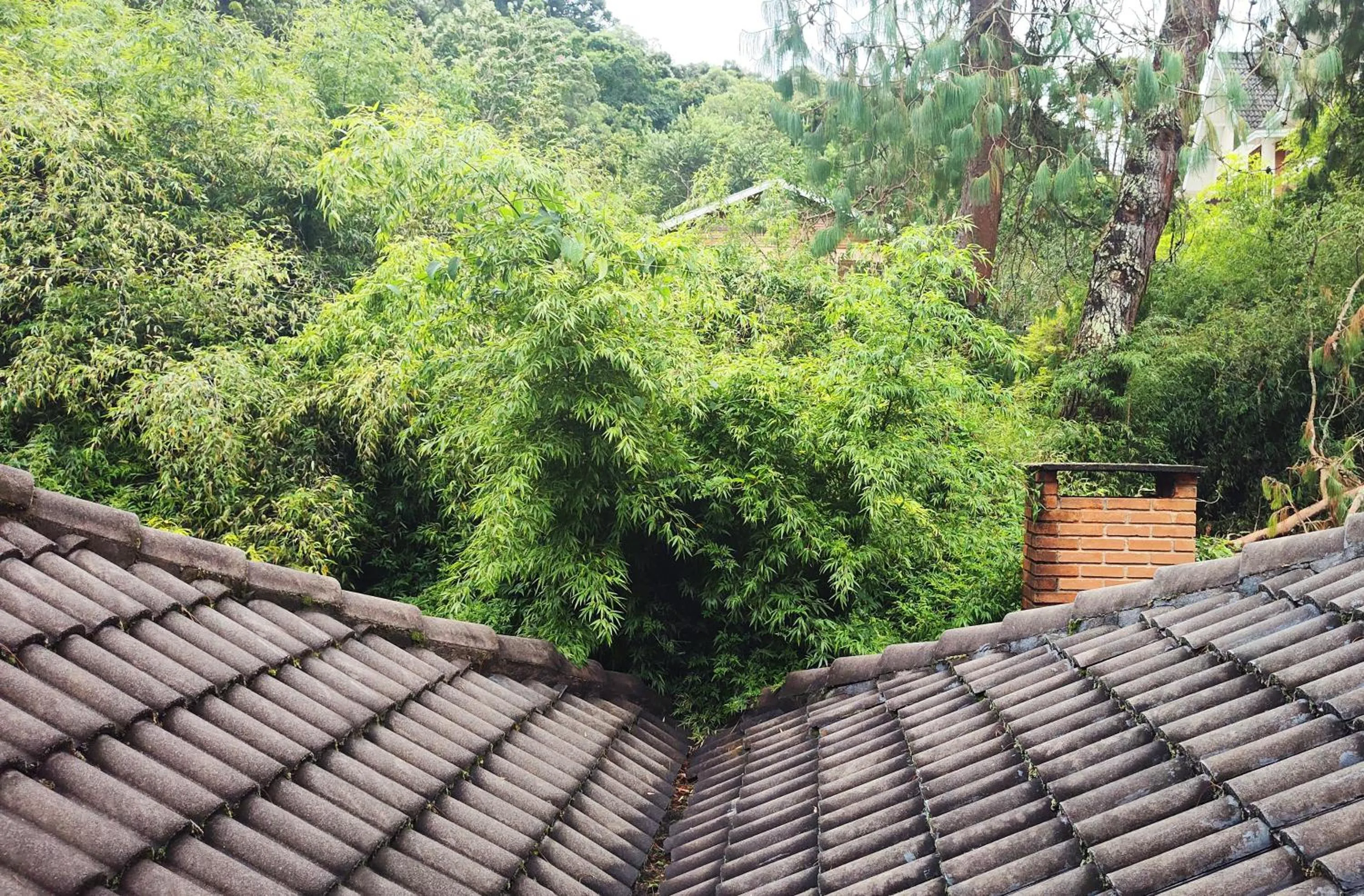 View (from property/room) in Pousada Casa dos Sonhos