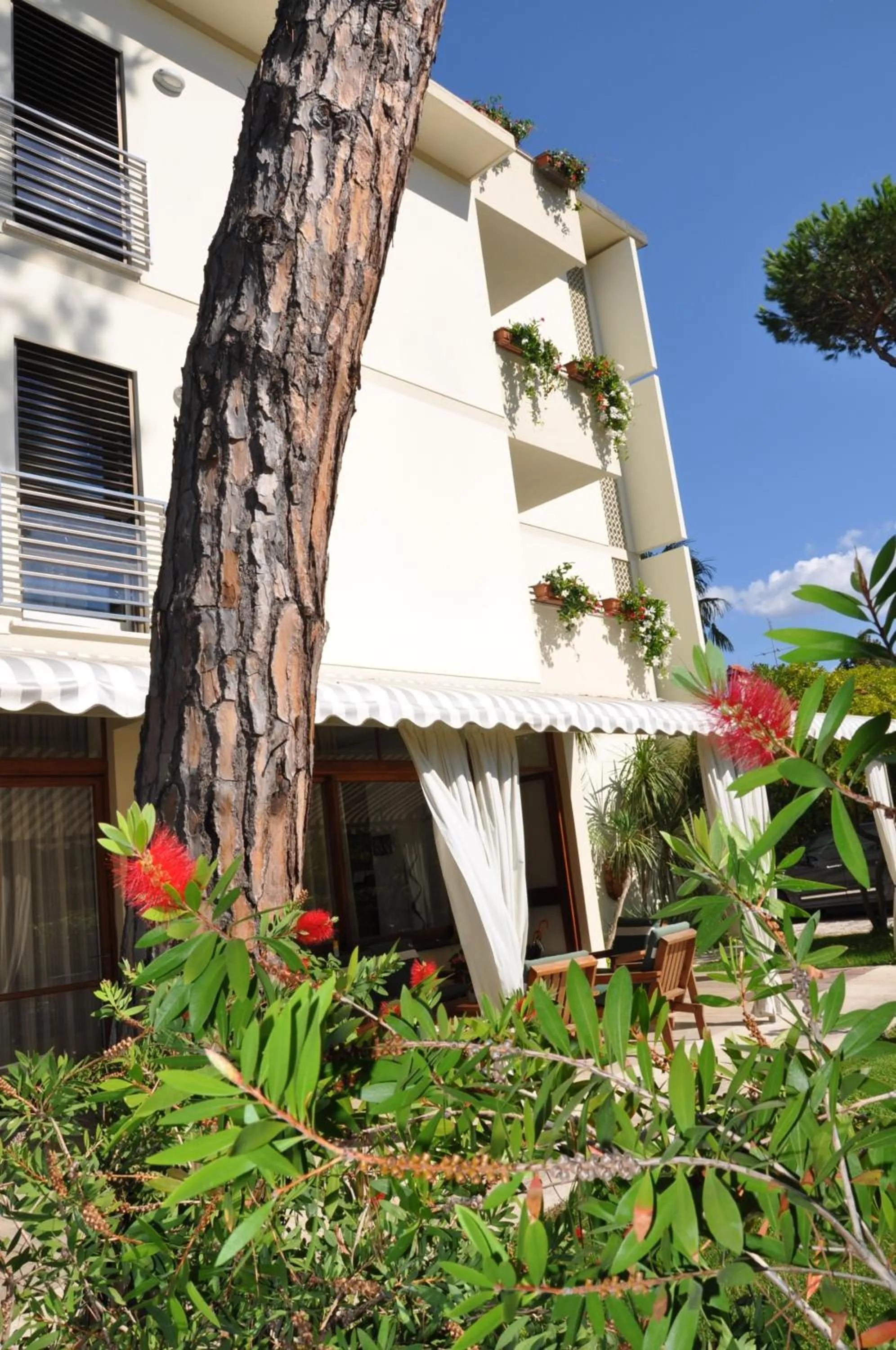 Day in Hotel Etruria