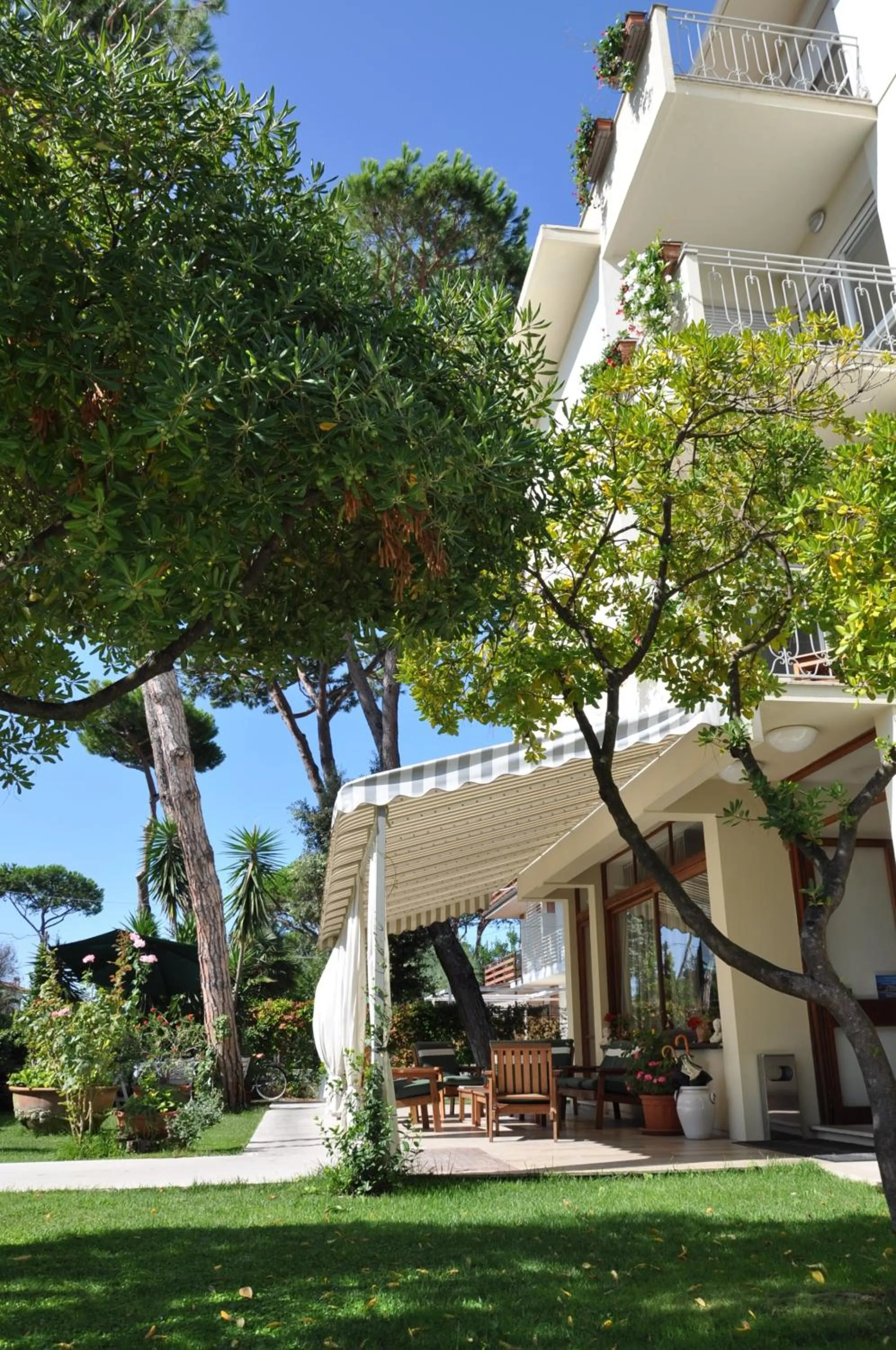 Patio in Hotel Etruria