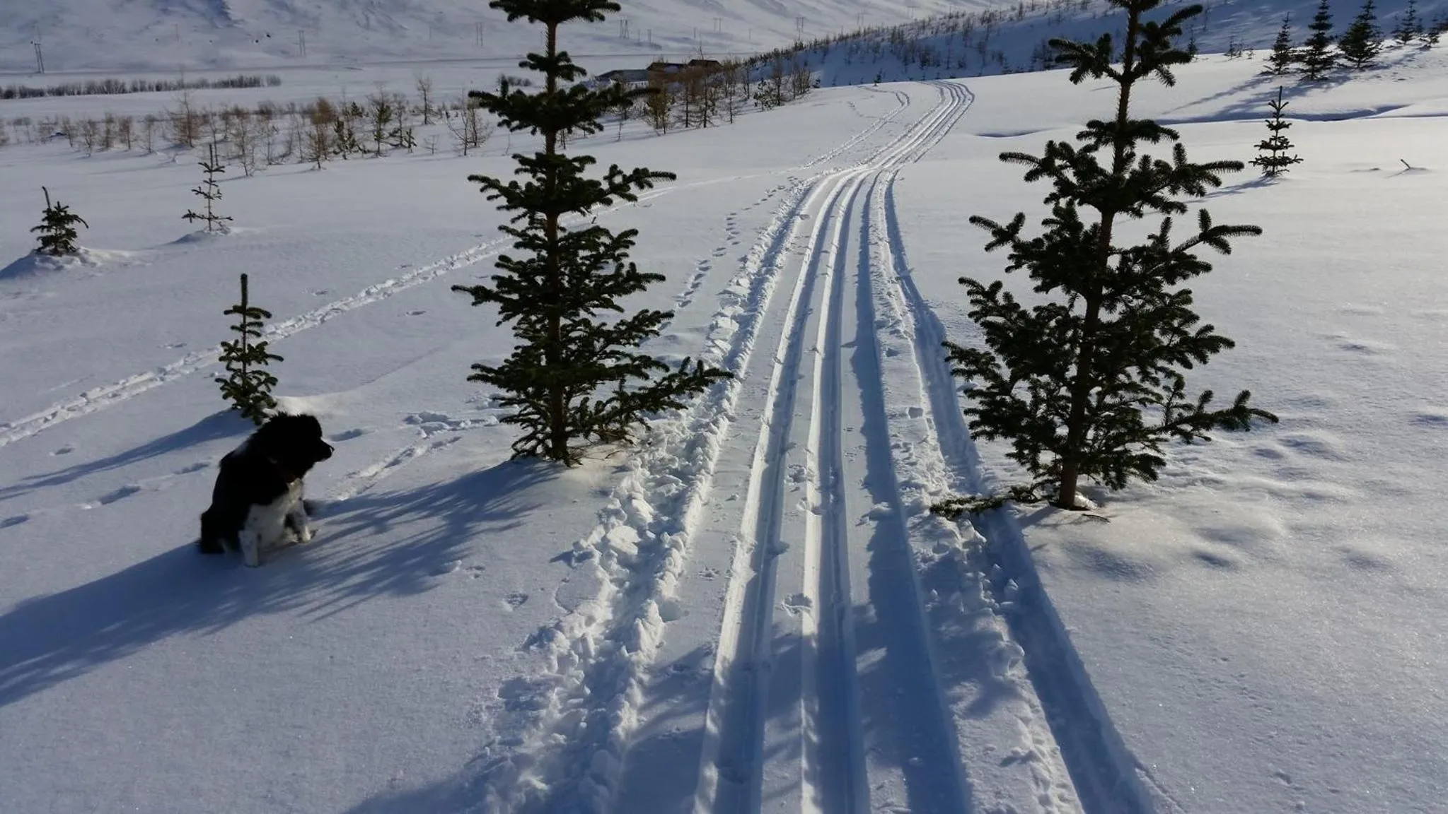 Natural landscape in Holt Inn