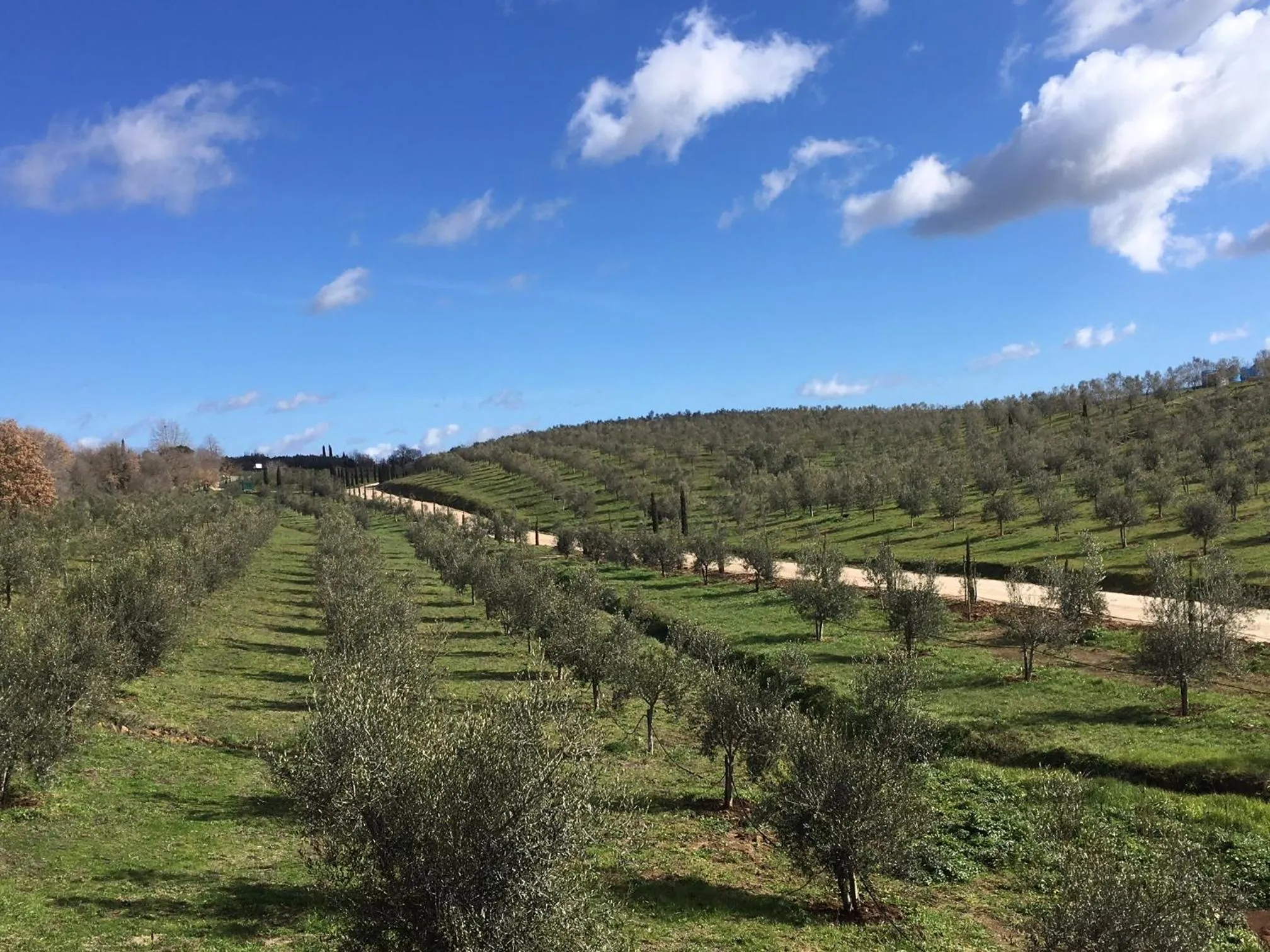 Property building in Il Podere di Marfisa