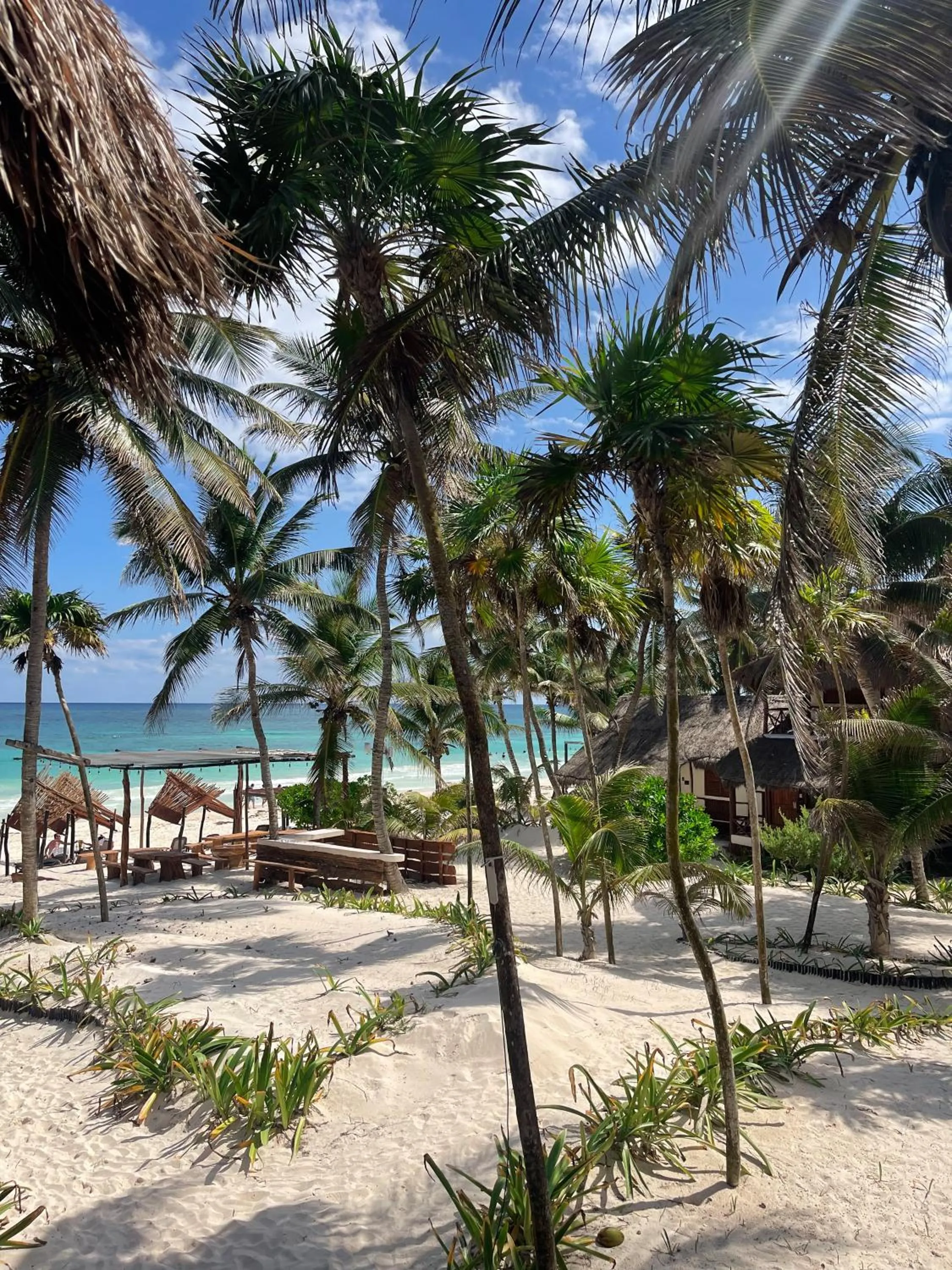Sea view in BT Live Tulum located at the party zone