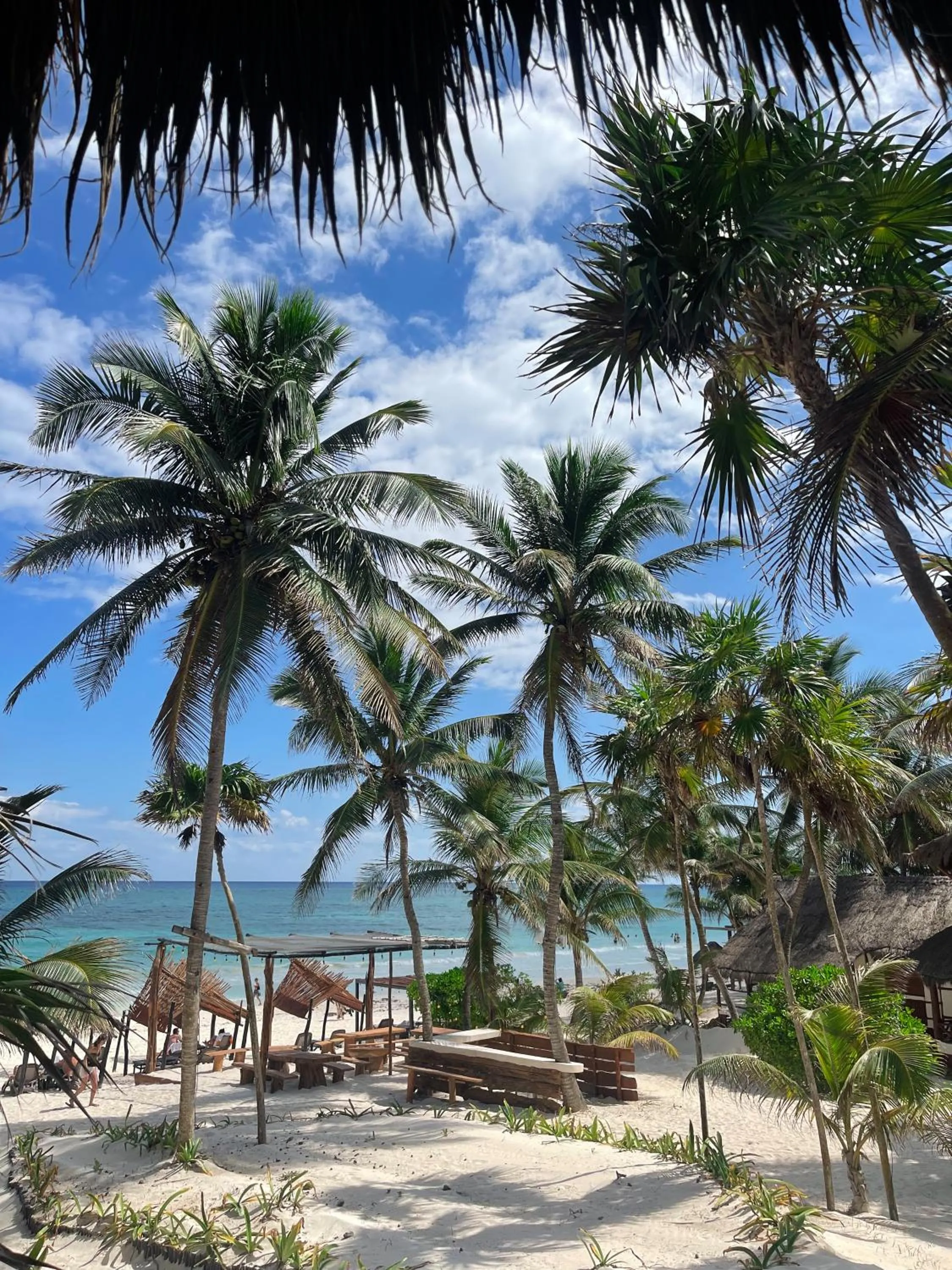 Sea view in BT Live Tulum located at the party zone