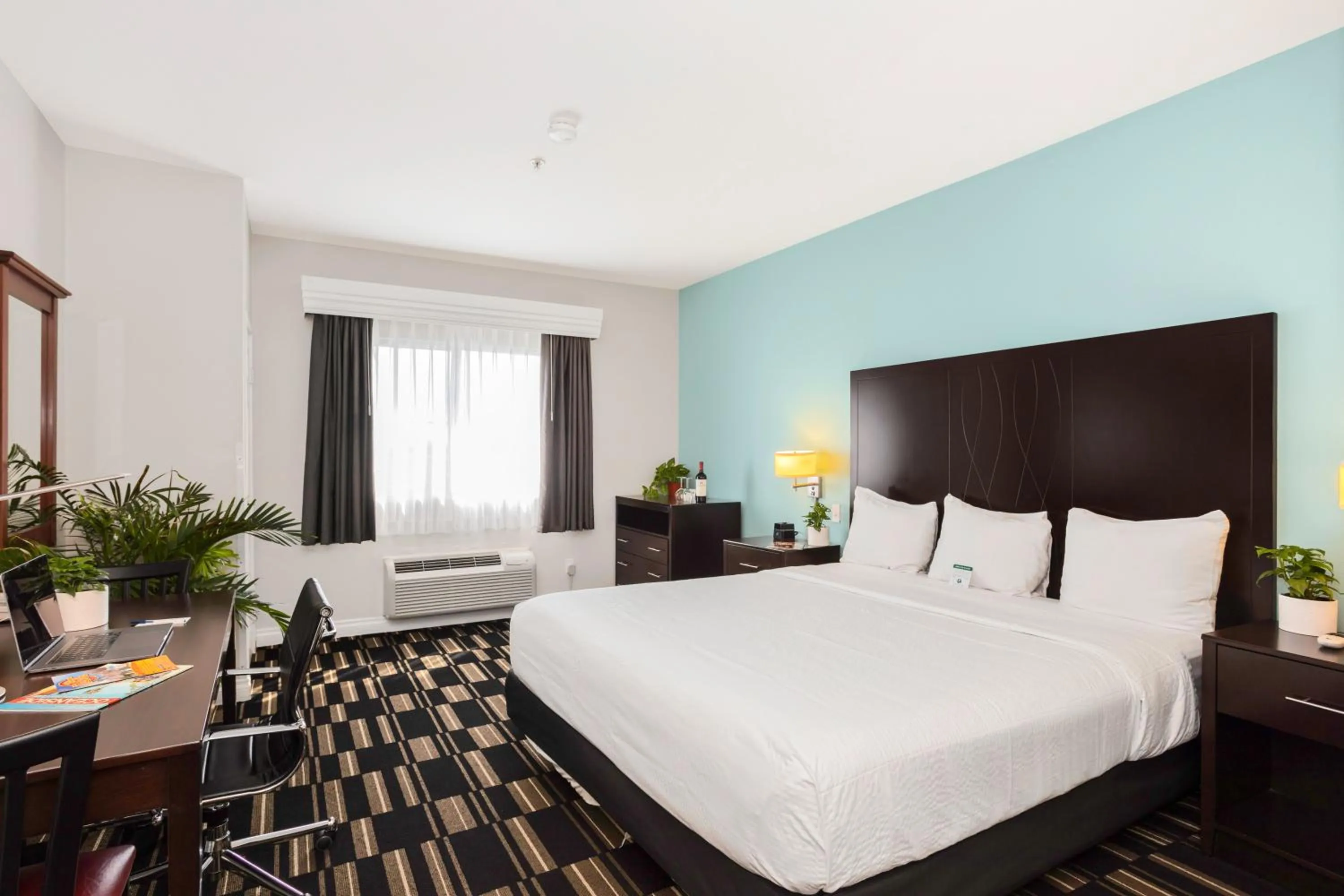 TV and multimedia, Bed in The Hotel Oceanside