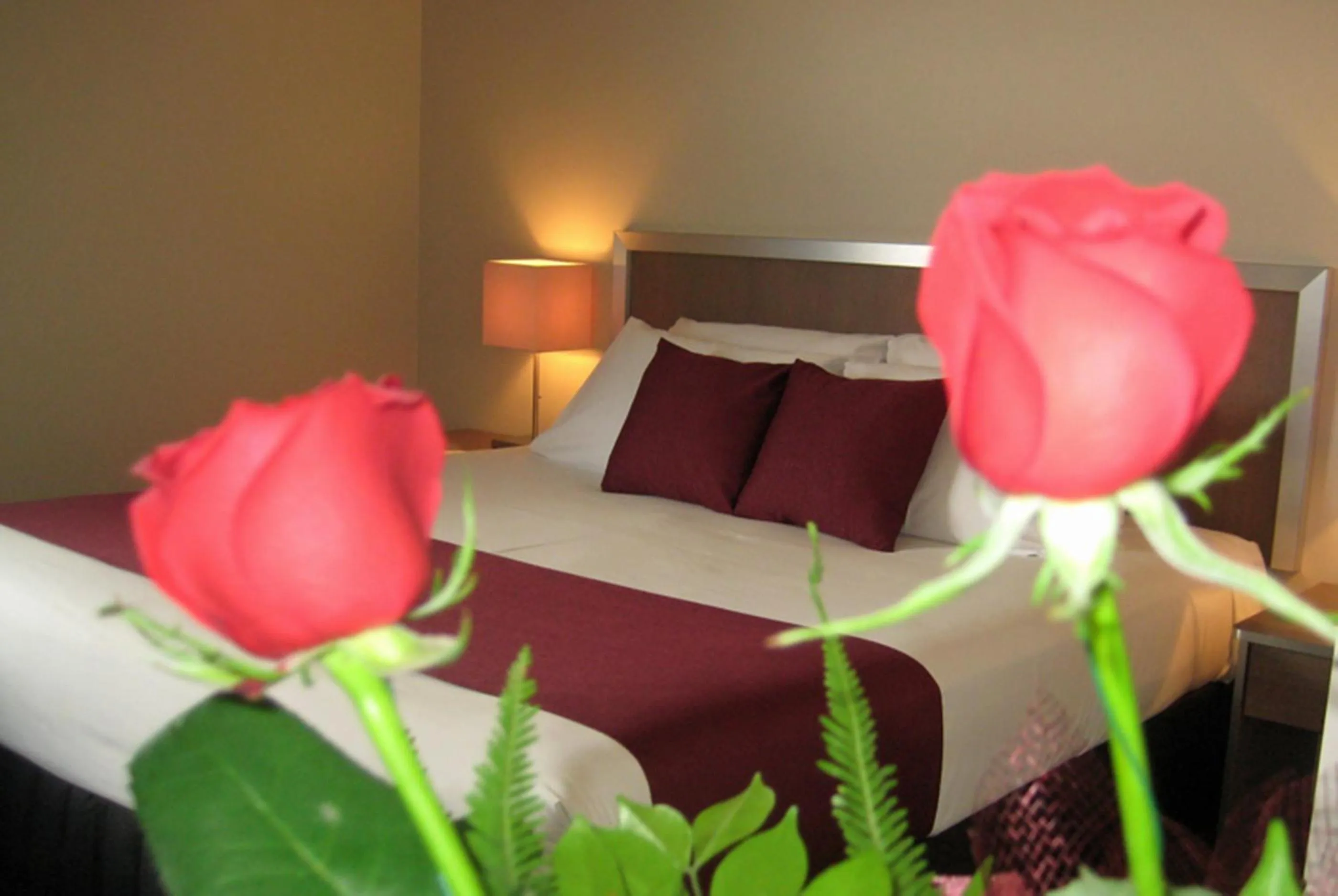 Bed in Johnson Road Motel