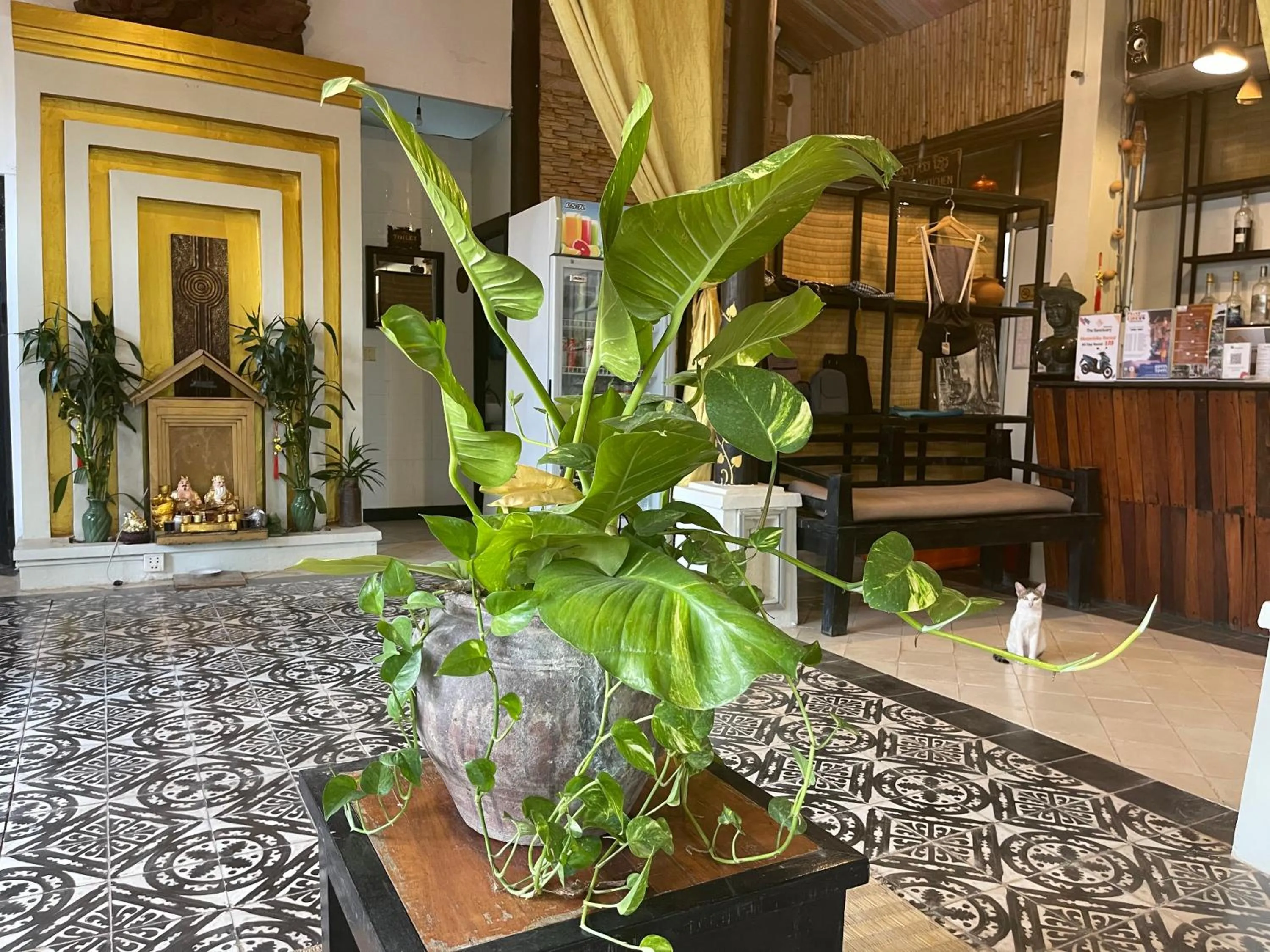 Restaurant/places to eat in The Sanctuary Villa Battambang