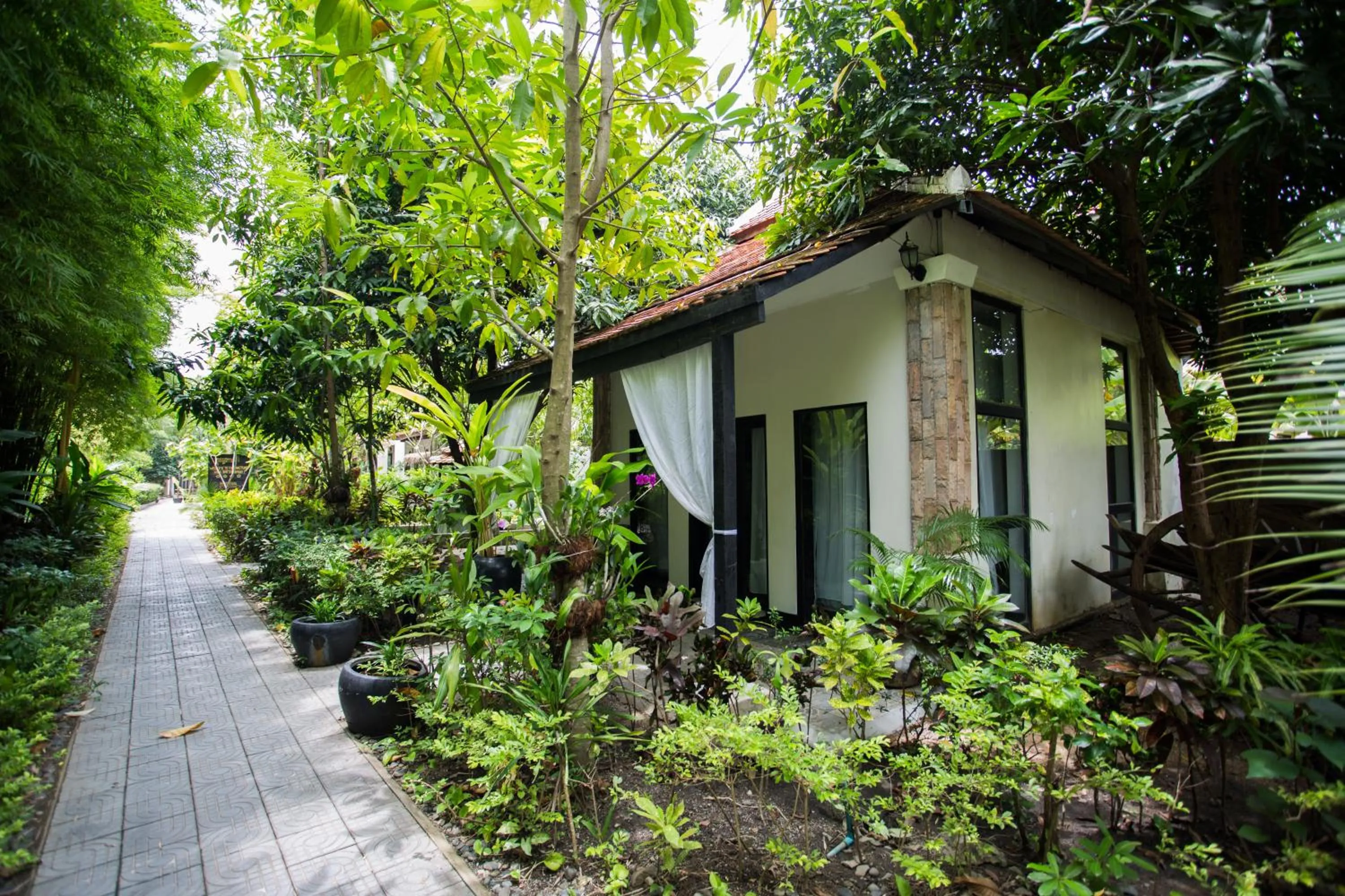 Natural landscape in The Sanctuary Villa Battambang