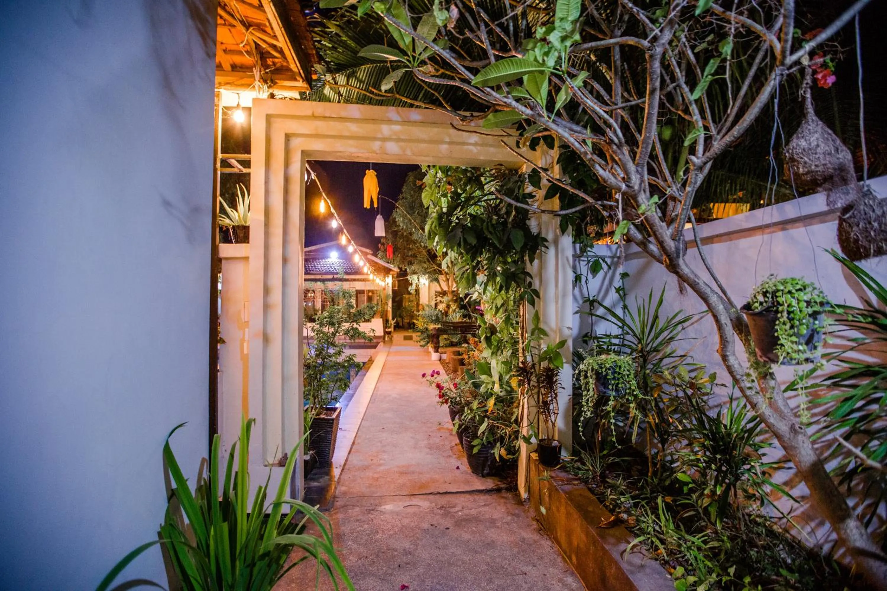 Garden in The Sanctuary Villa Battambang