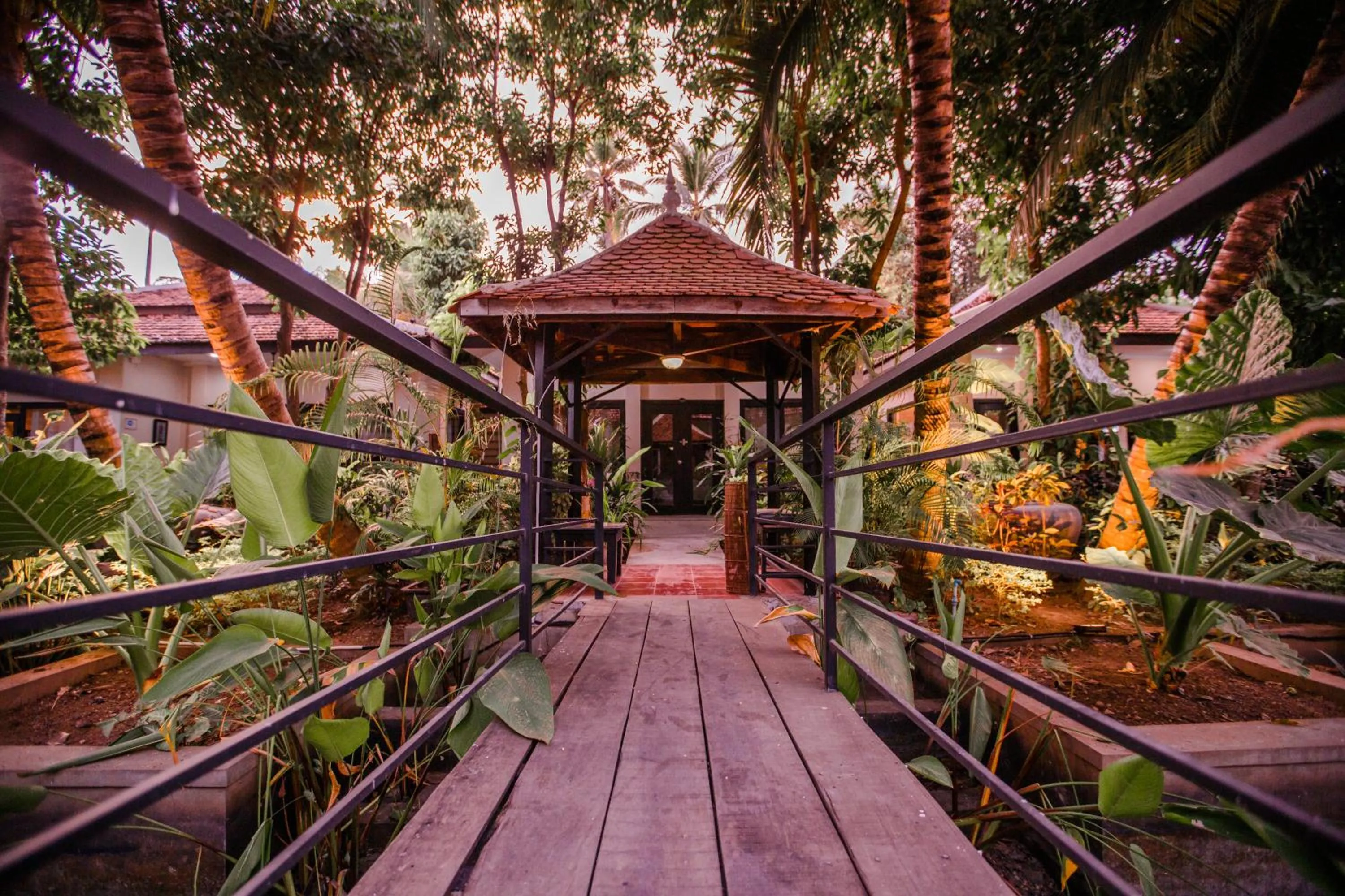 Garden view in The Sanctuary Villa Battambang