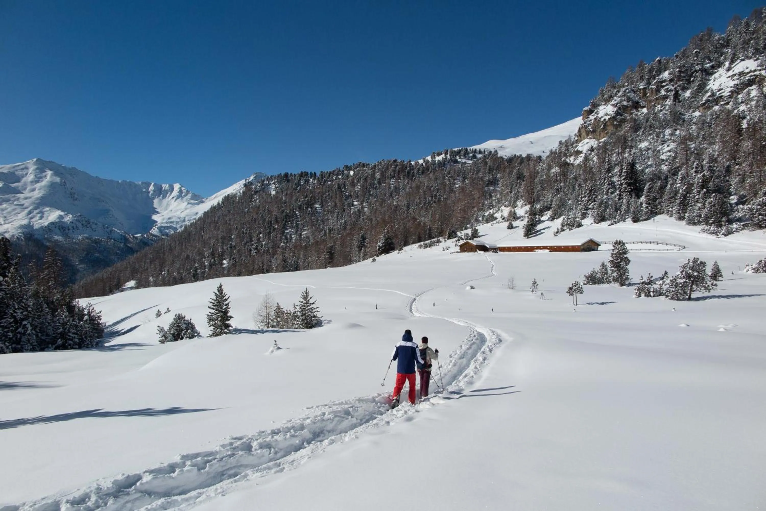 Skiing in Hotel Al Rom