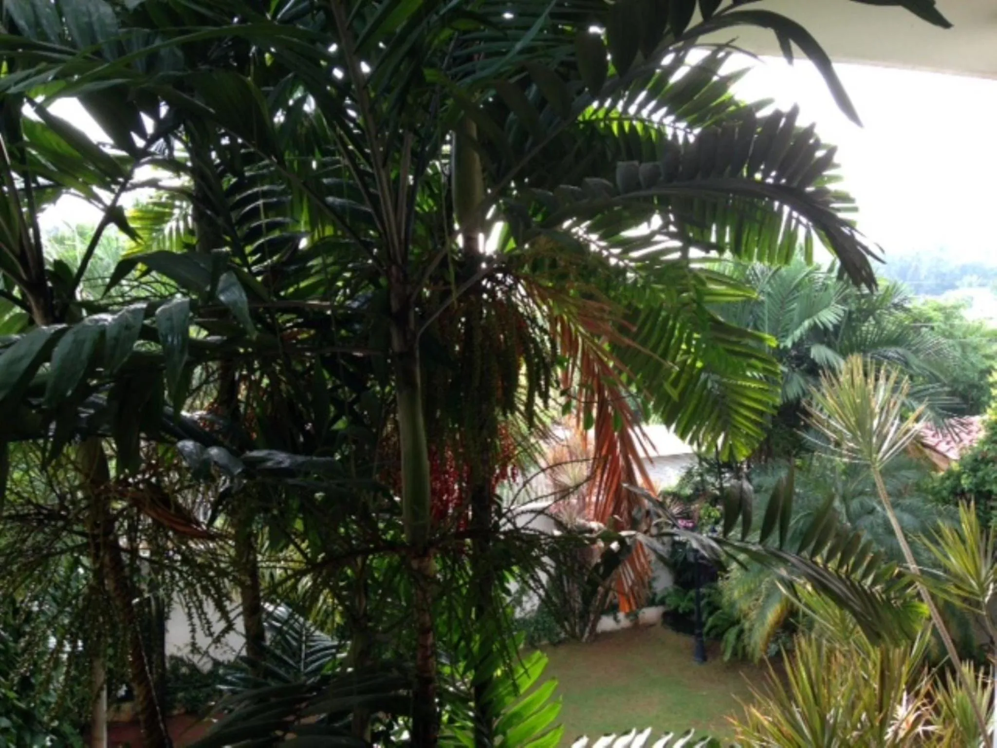 Decorative detail in Silvikris Villa