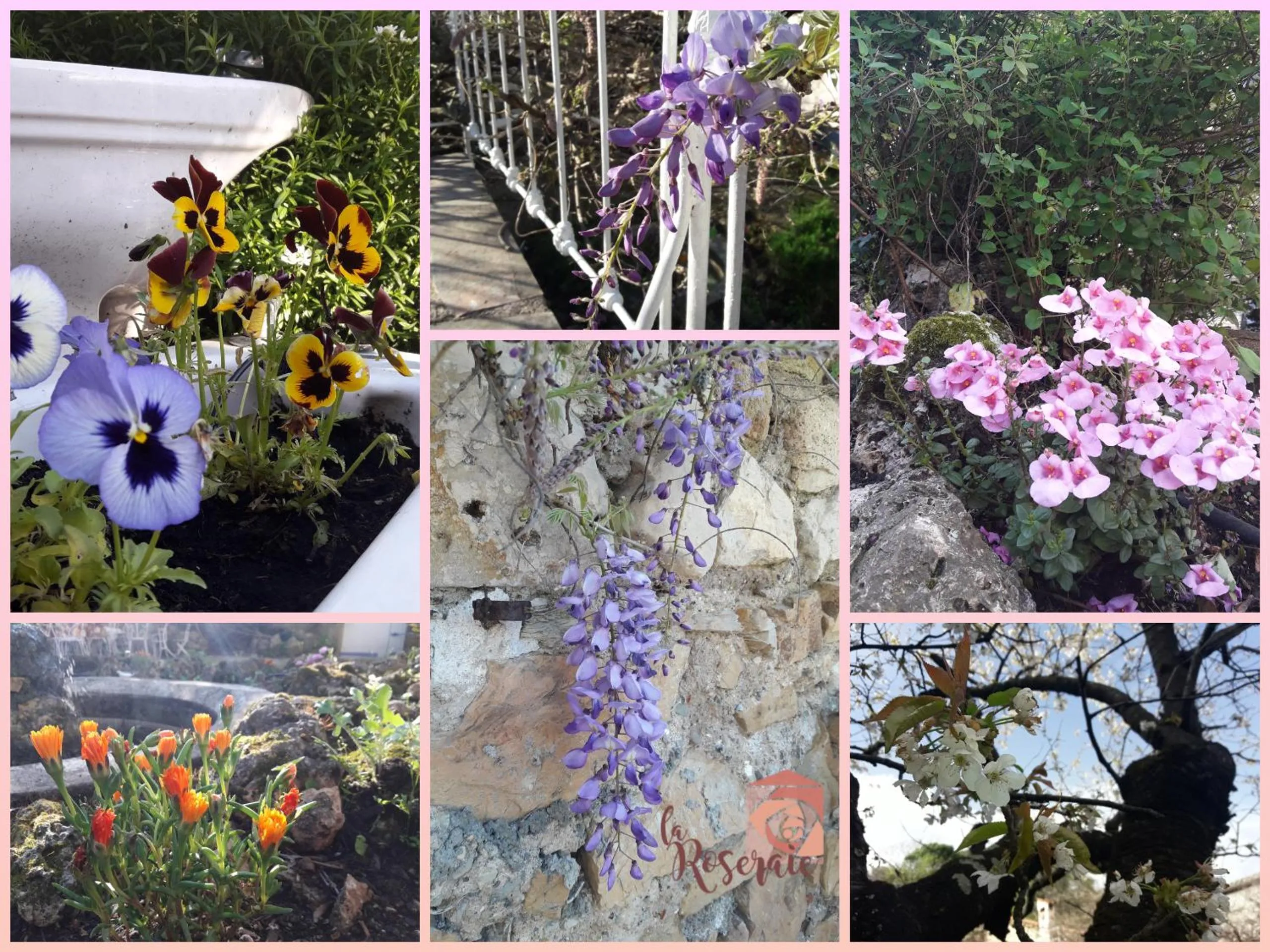 Garden in La Roseraie