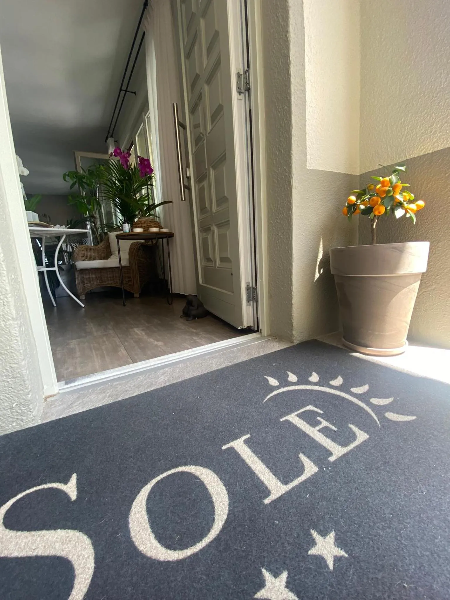 Property logo or sign in Hotel Sole