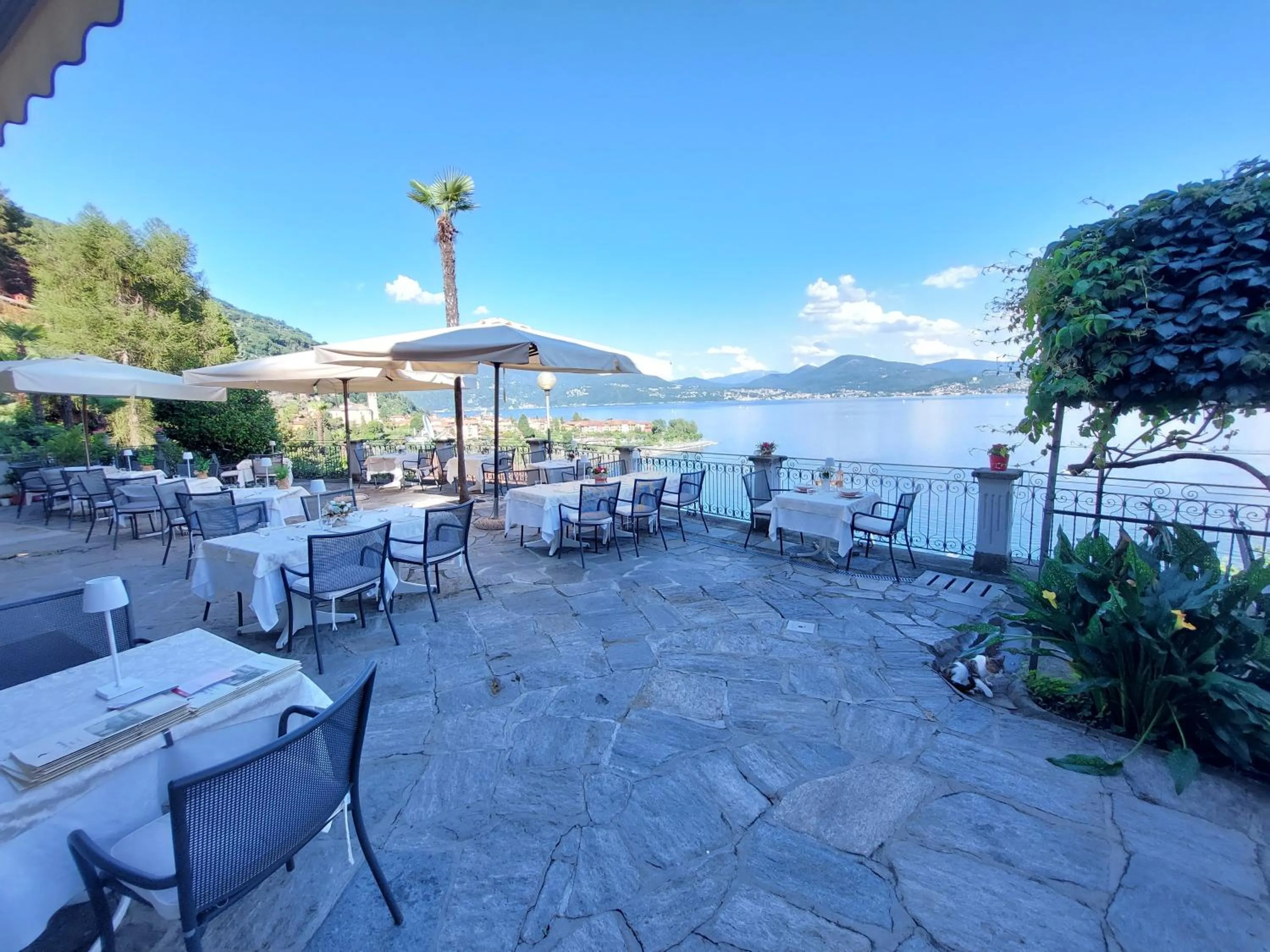 Restaurant/places to eat in Hotel La Rondinella