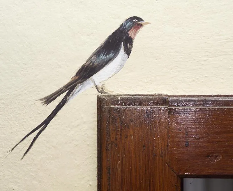 Other in Hotel La Rondinella