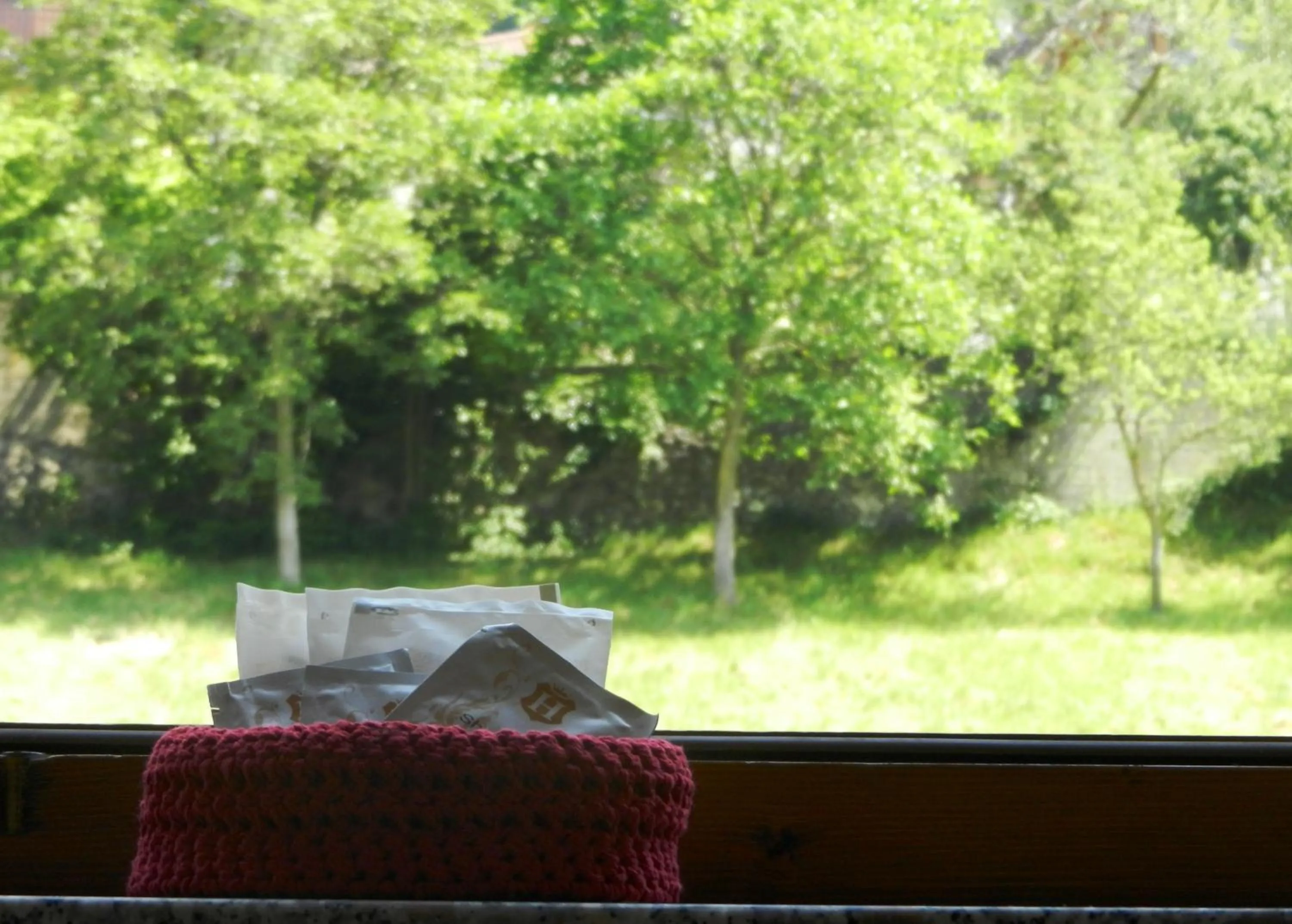 Garden in Albergo Milano