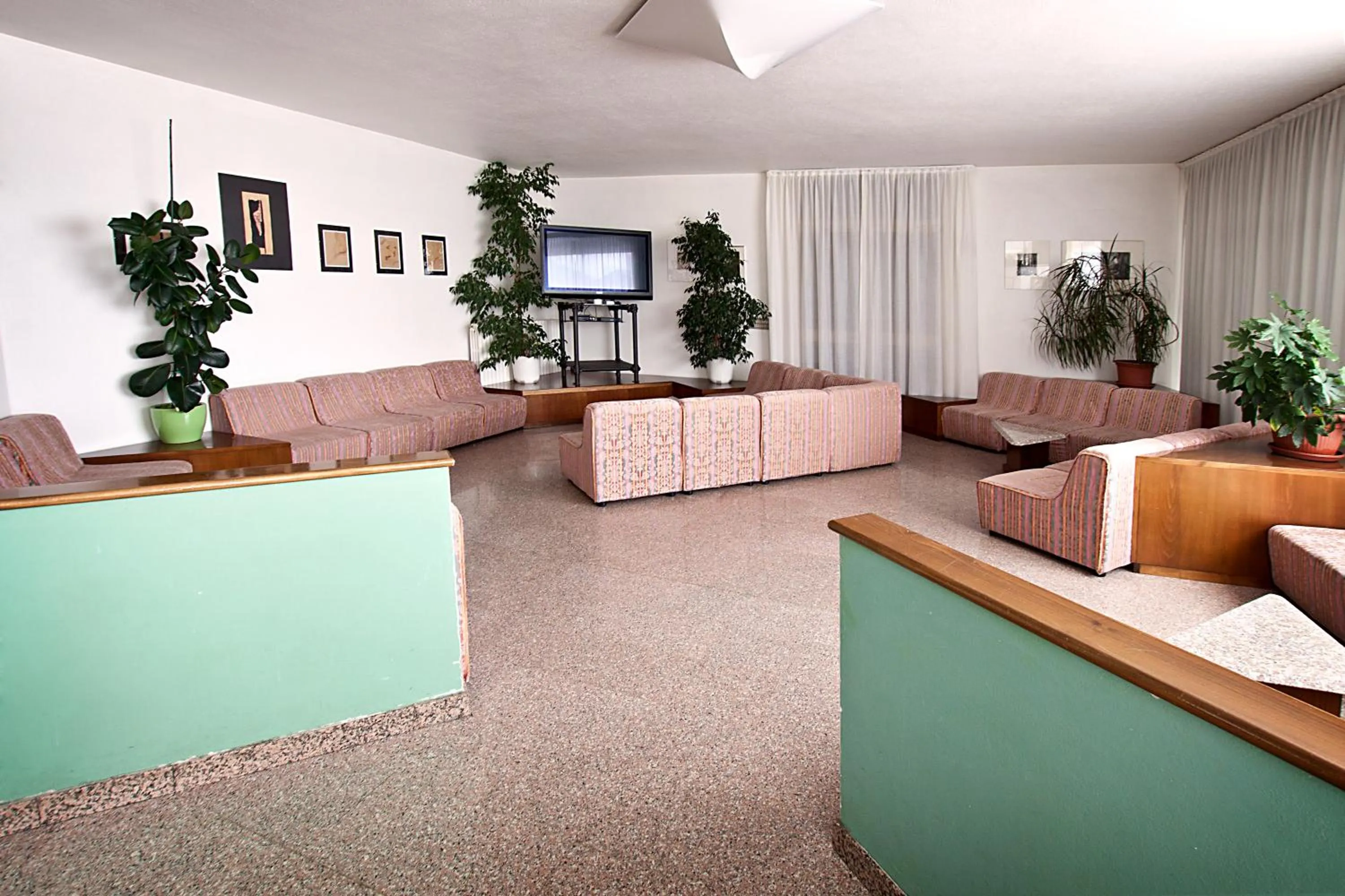 TV and multimedia in Albergo Milano