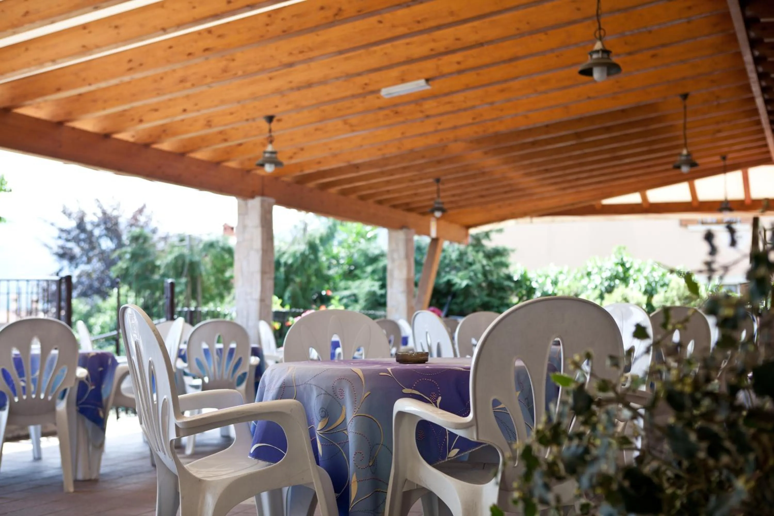 Balcony/Terrace in Albergo Milano