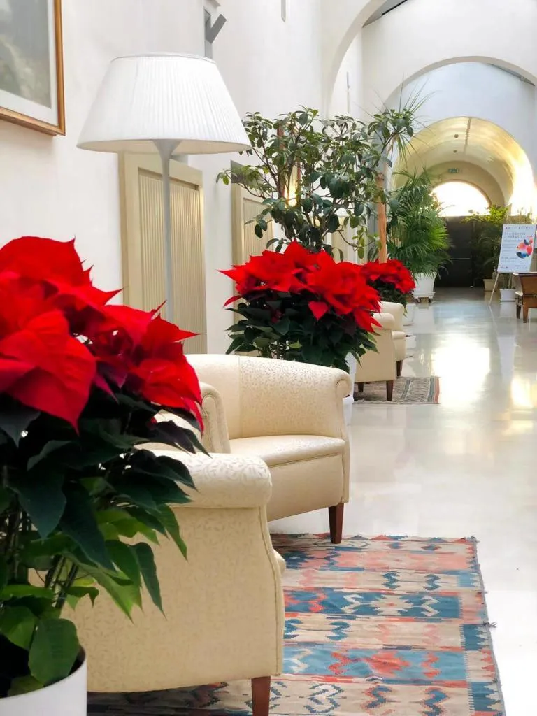 Hotel Saraceno Al Faro