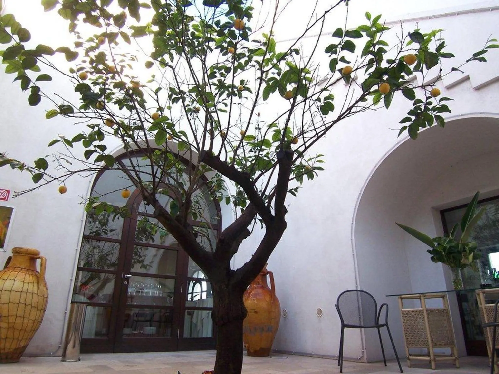 Facade/entrance in Hotel Saraceno Al Faro