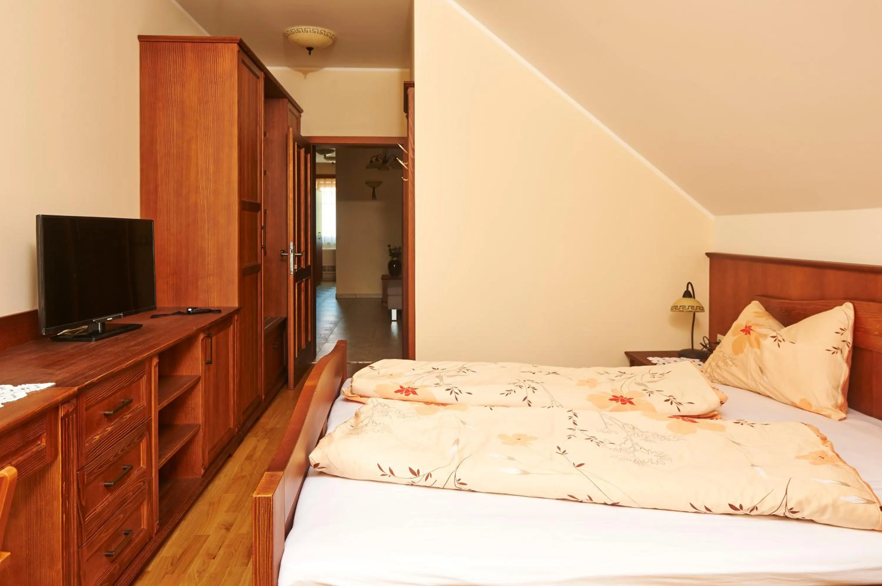 TV and multimedia, Bed in Tourism Tompa