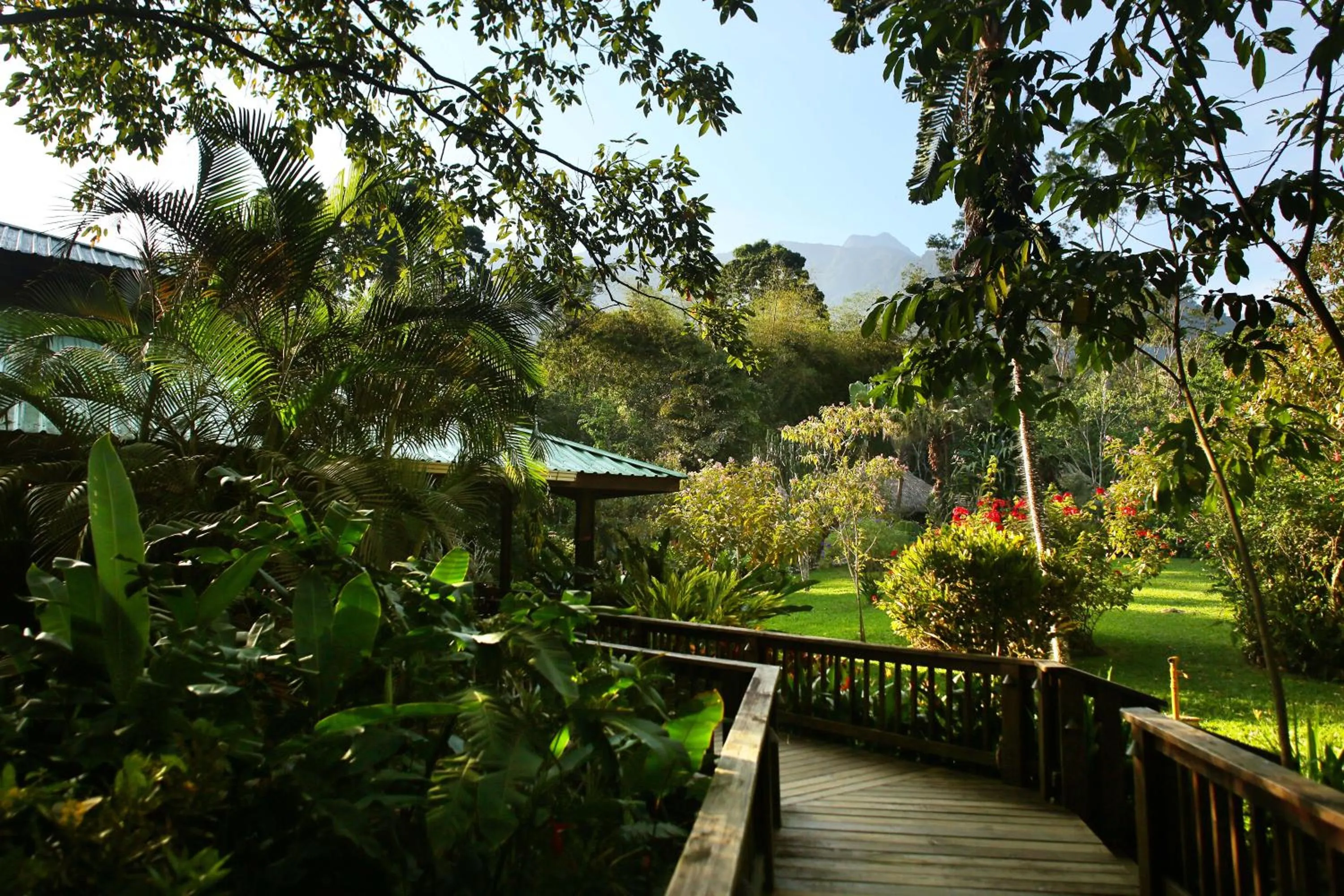 Garden in The Lodge at Pico Bonito