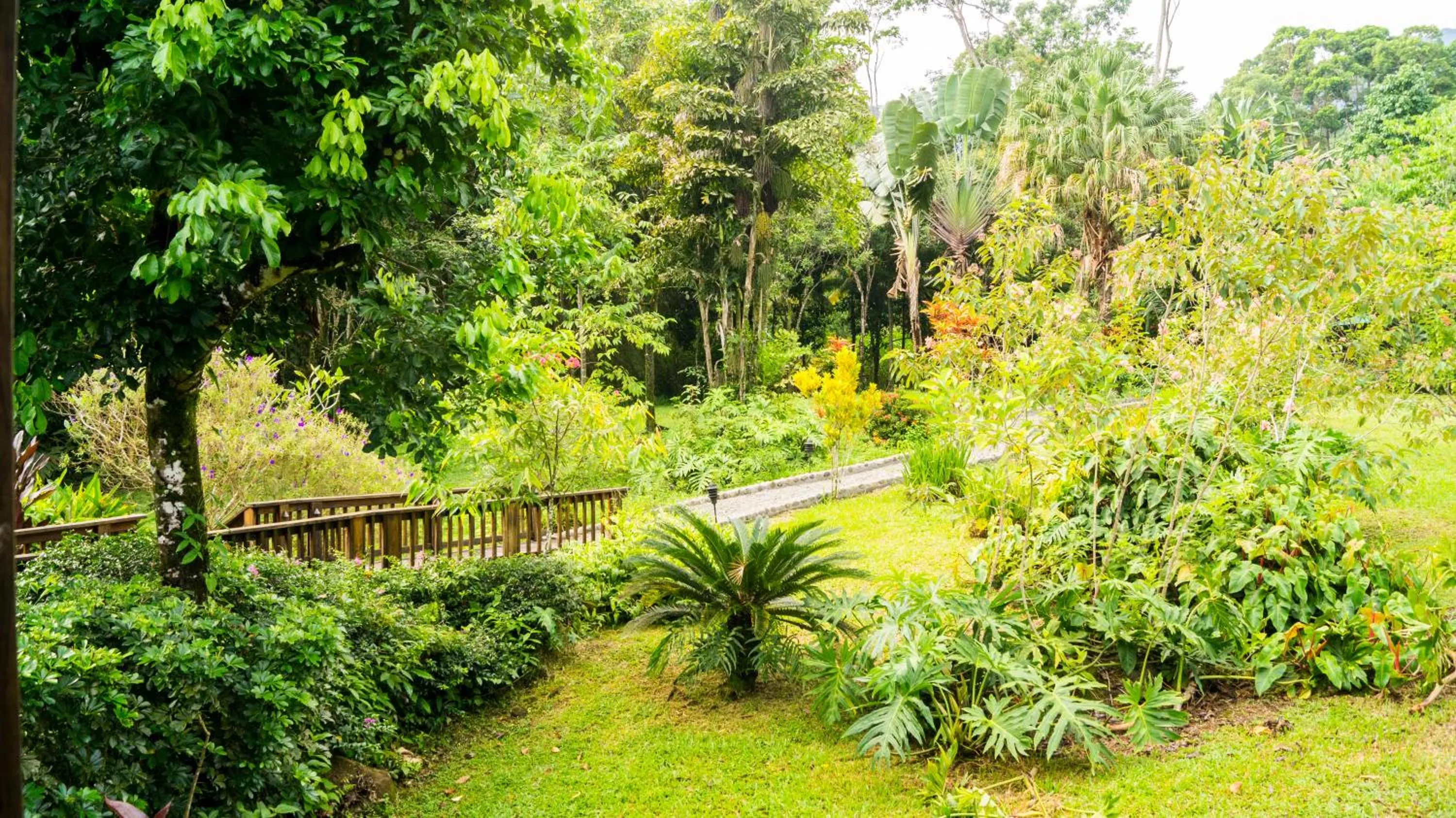 Garden in The Lodge at Pico Bonito