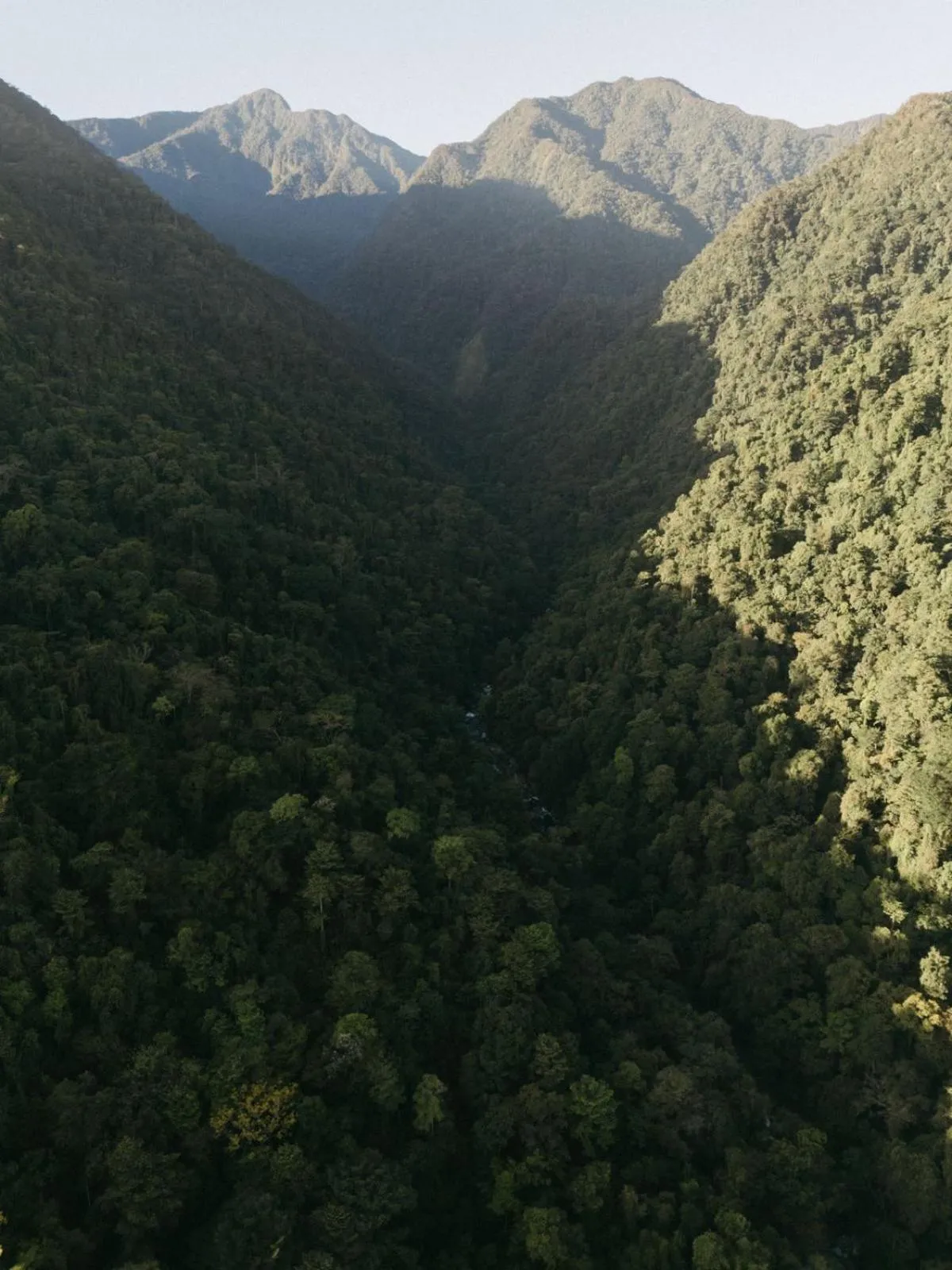Natural landscape in The Lodge at Pico Bonito