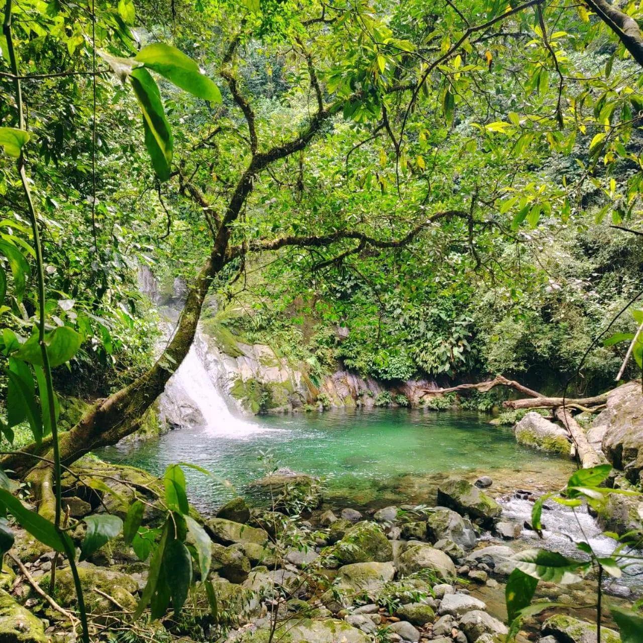 River view in The Lodge at Pico Bonito