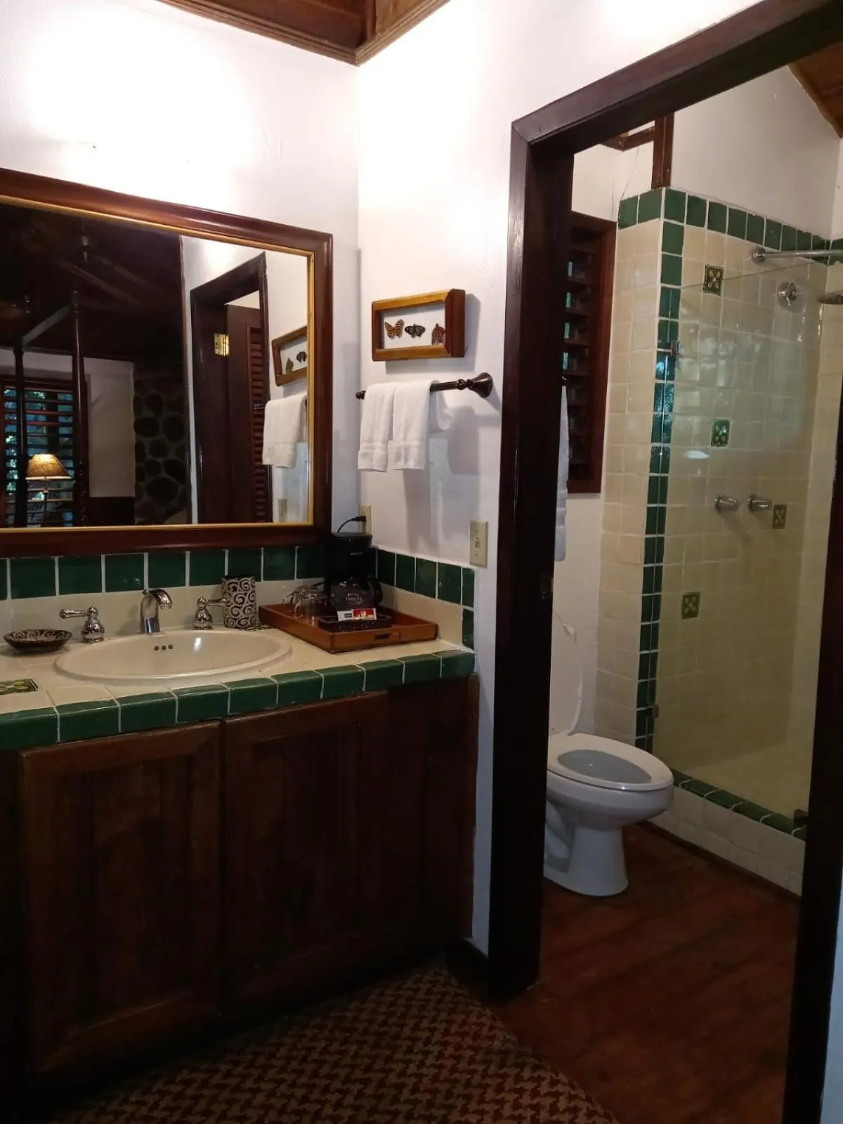 Shower in The Lodge at Pico Bonito