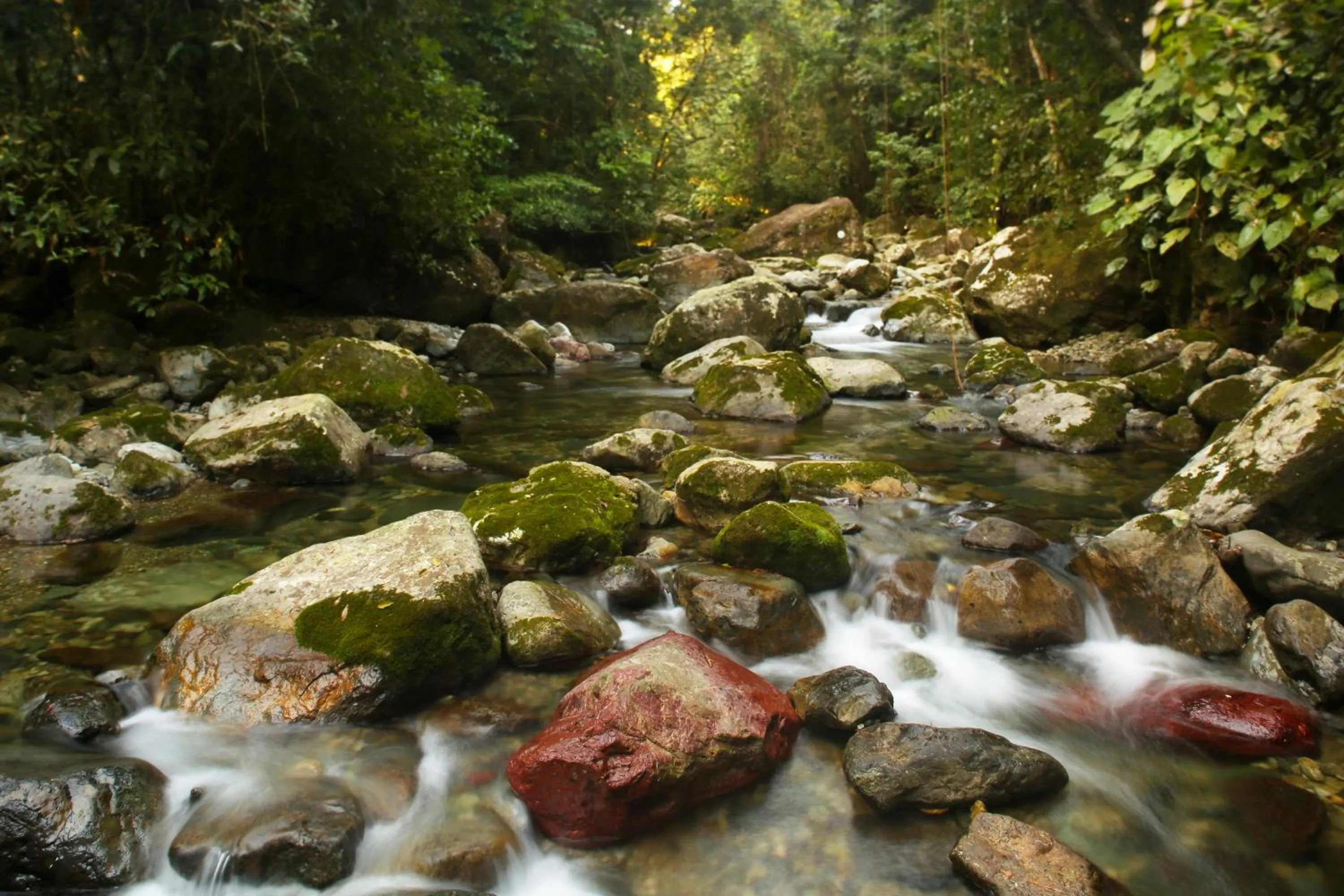 Hiking in The Lodge at Pico Bonito