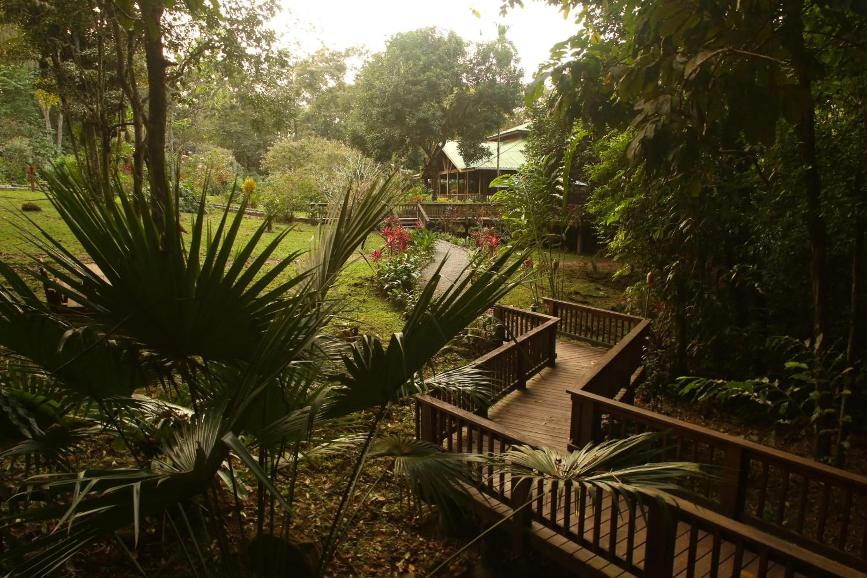 Garden in The Lodge at Pico Bonito