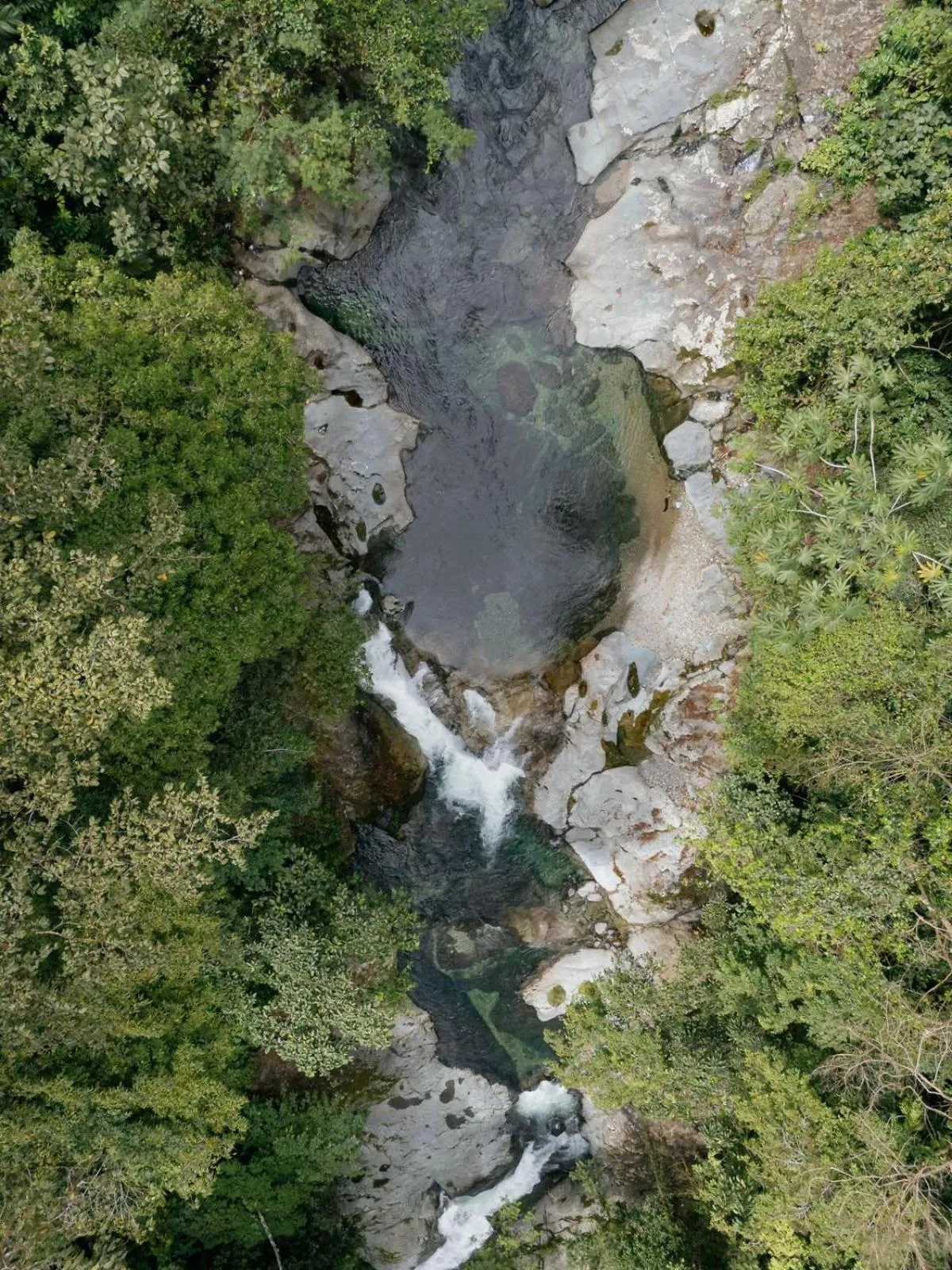 River view in The Lodge at Pico Bonito