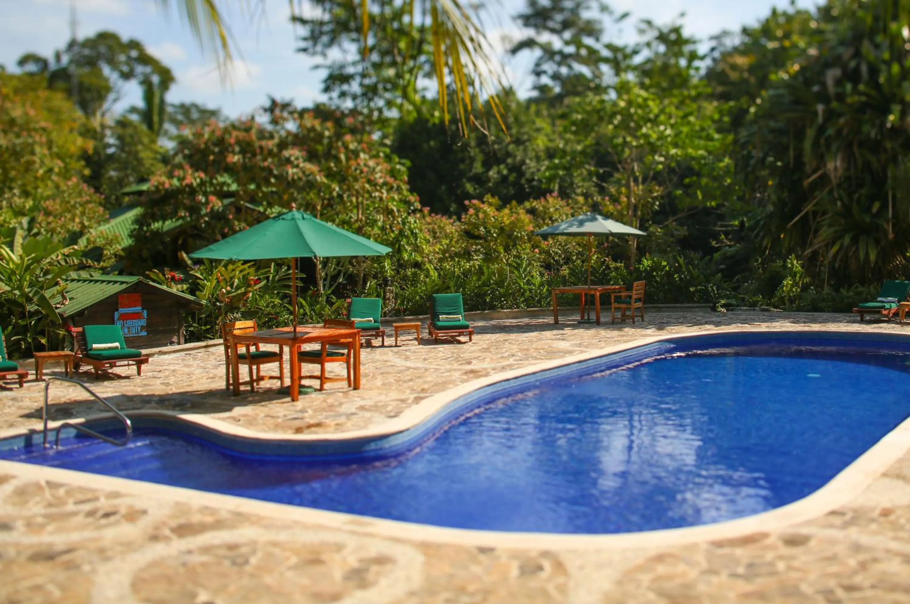Swimming pool in The Lodge at Pico Bonito