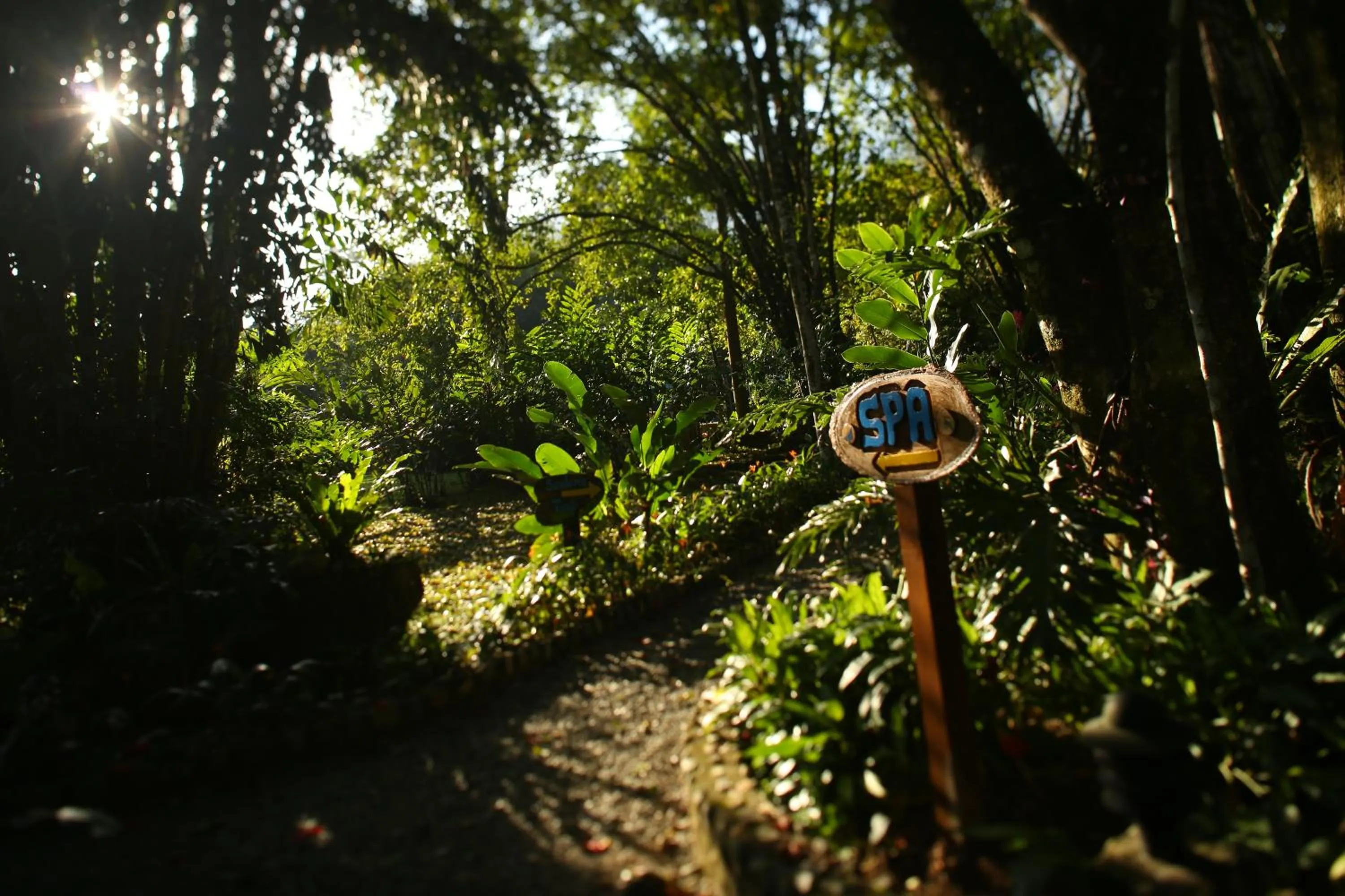 Spa and wellness centre/facilities in The Lodge at Pico Bonito