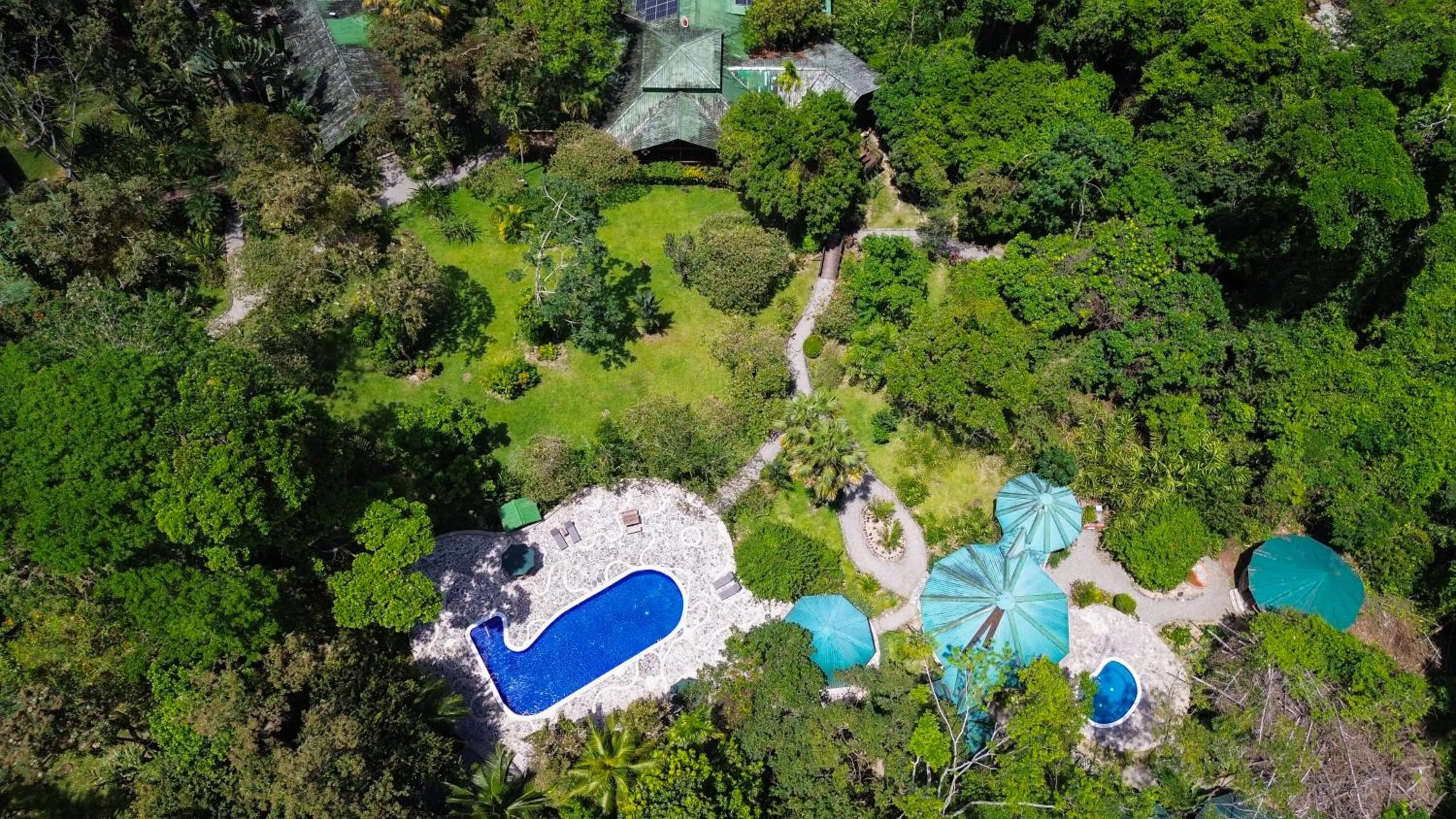 Swimming pool in The Lodge at Pico Bonito