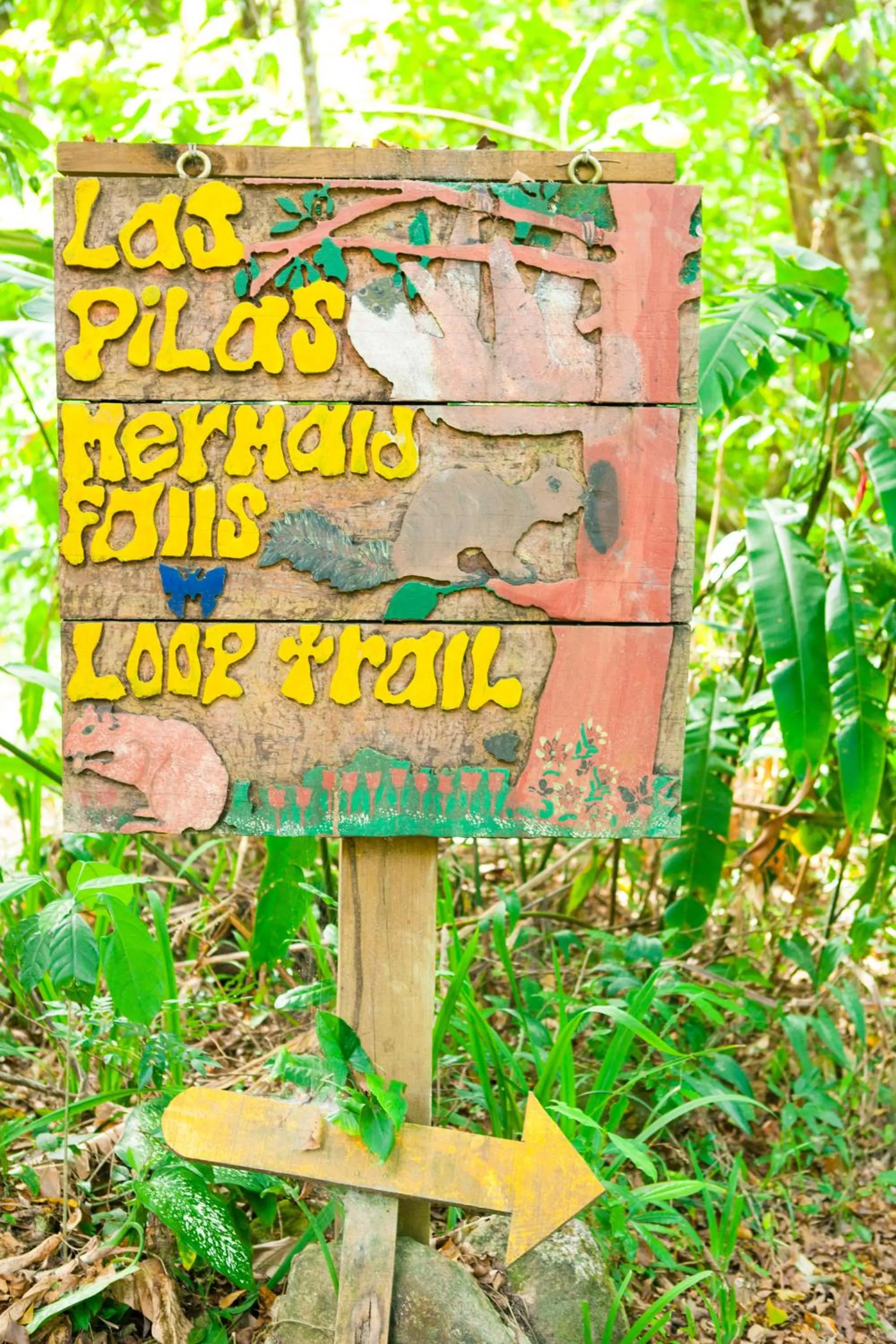 Activities in The Lodge at Pico Bonito