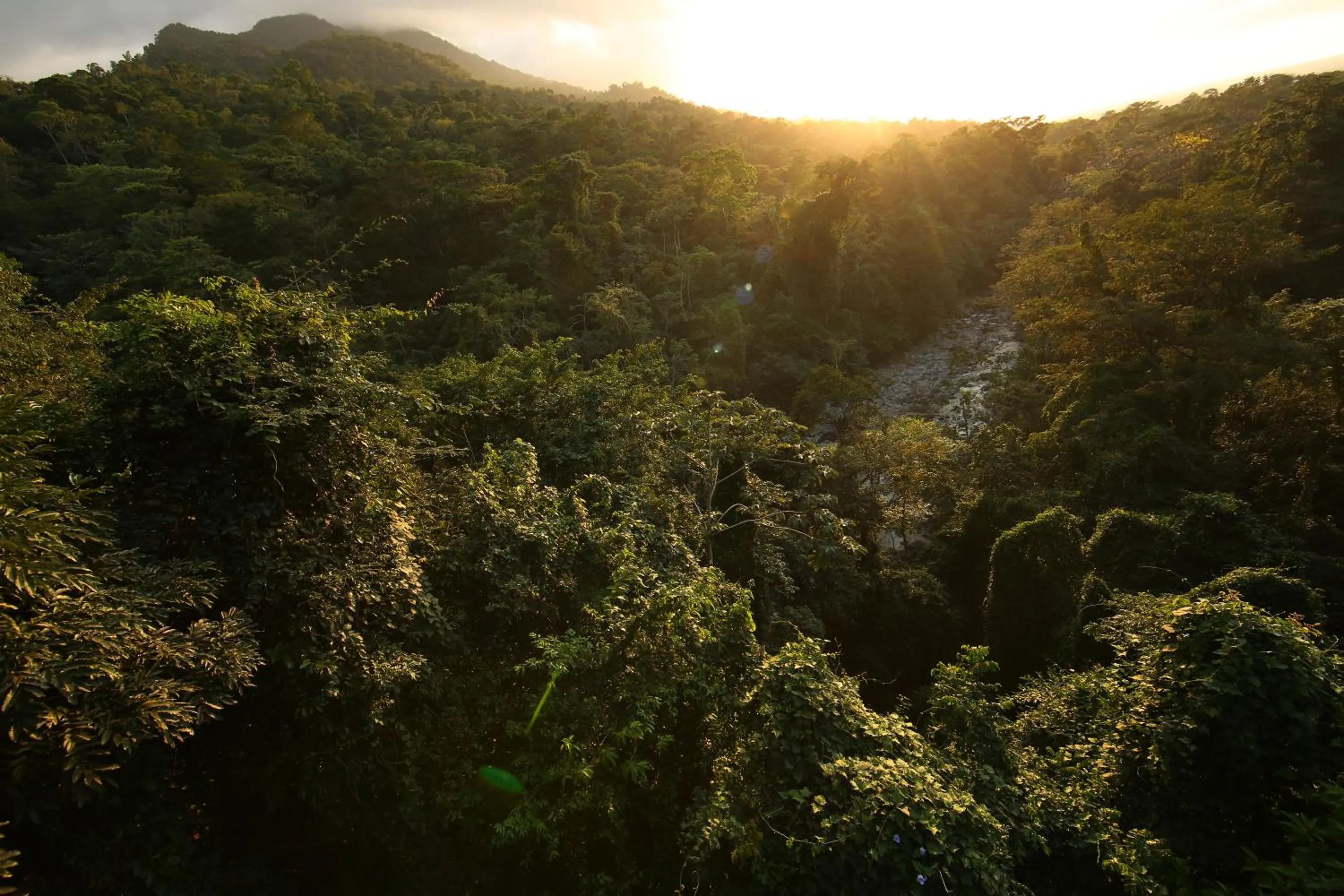 Bird's eye view in The Lodge at Pico Bonito
