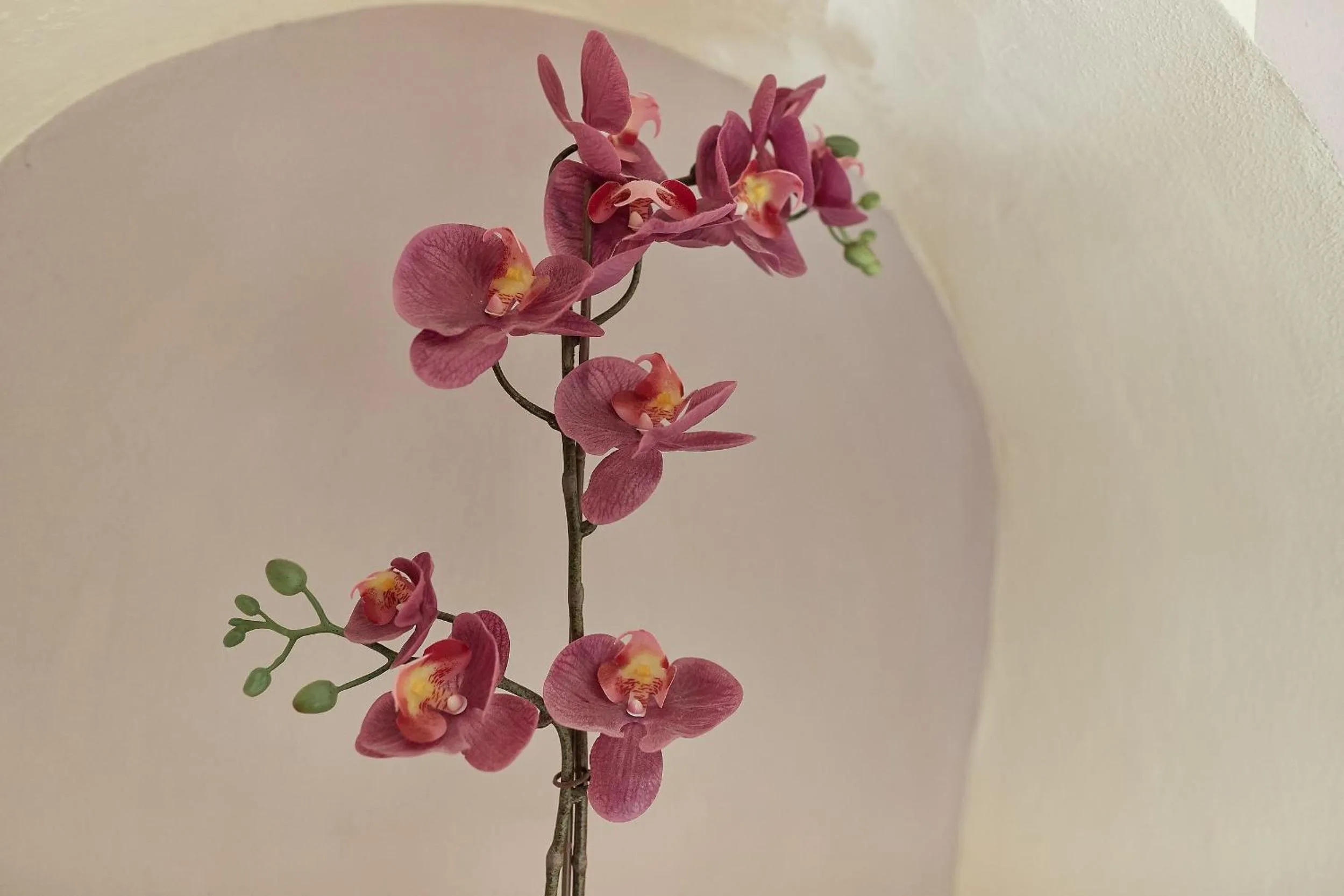 Decorative detail in B&B Di Piazza Del Duomo