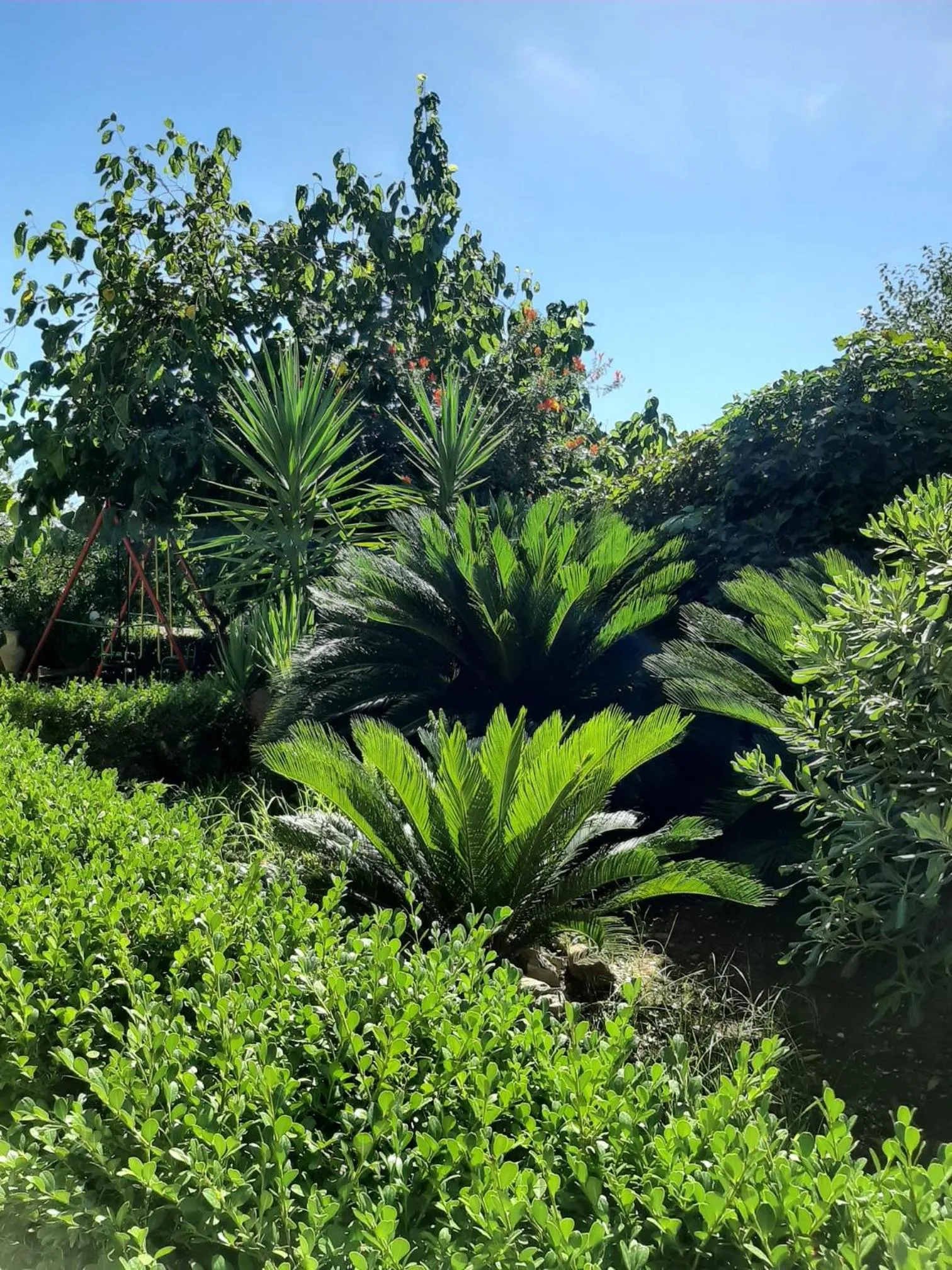 Garden in Residence Martina