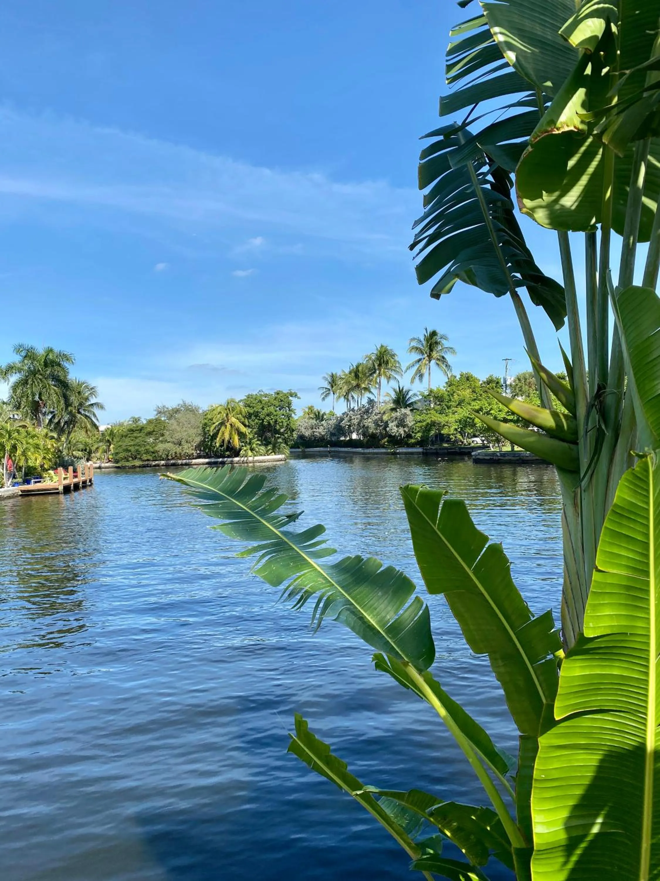 Natural landscape in The Cabanas Guesthouse & Spa - Gay Resort catering to Gay Men