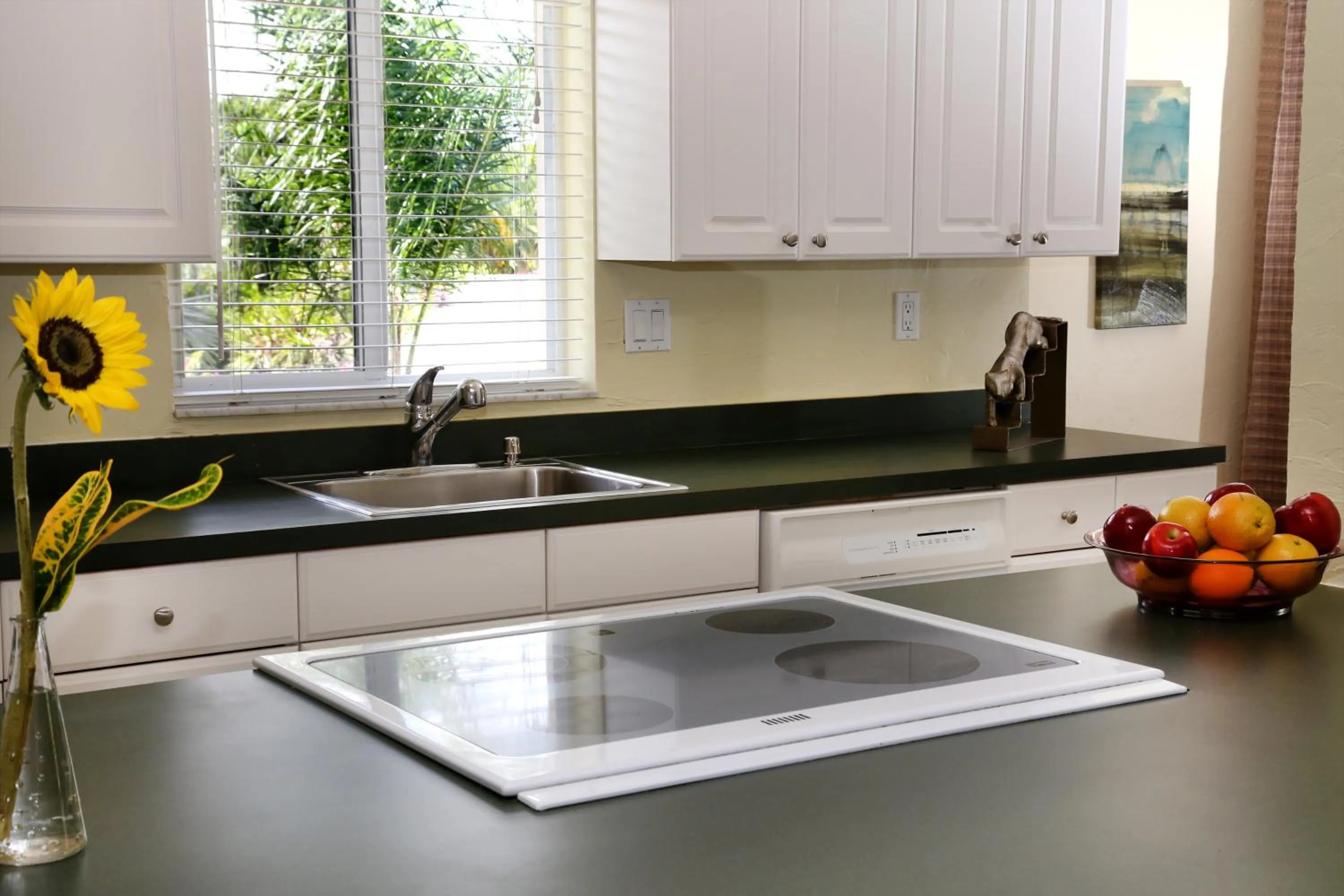 Kitchen or kitchenette in The Cabanas Guesthouse & Spa - Gay Resort catering to Gay Men