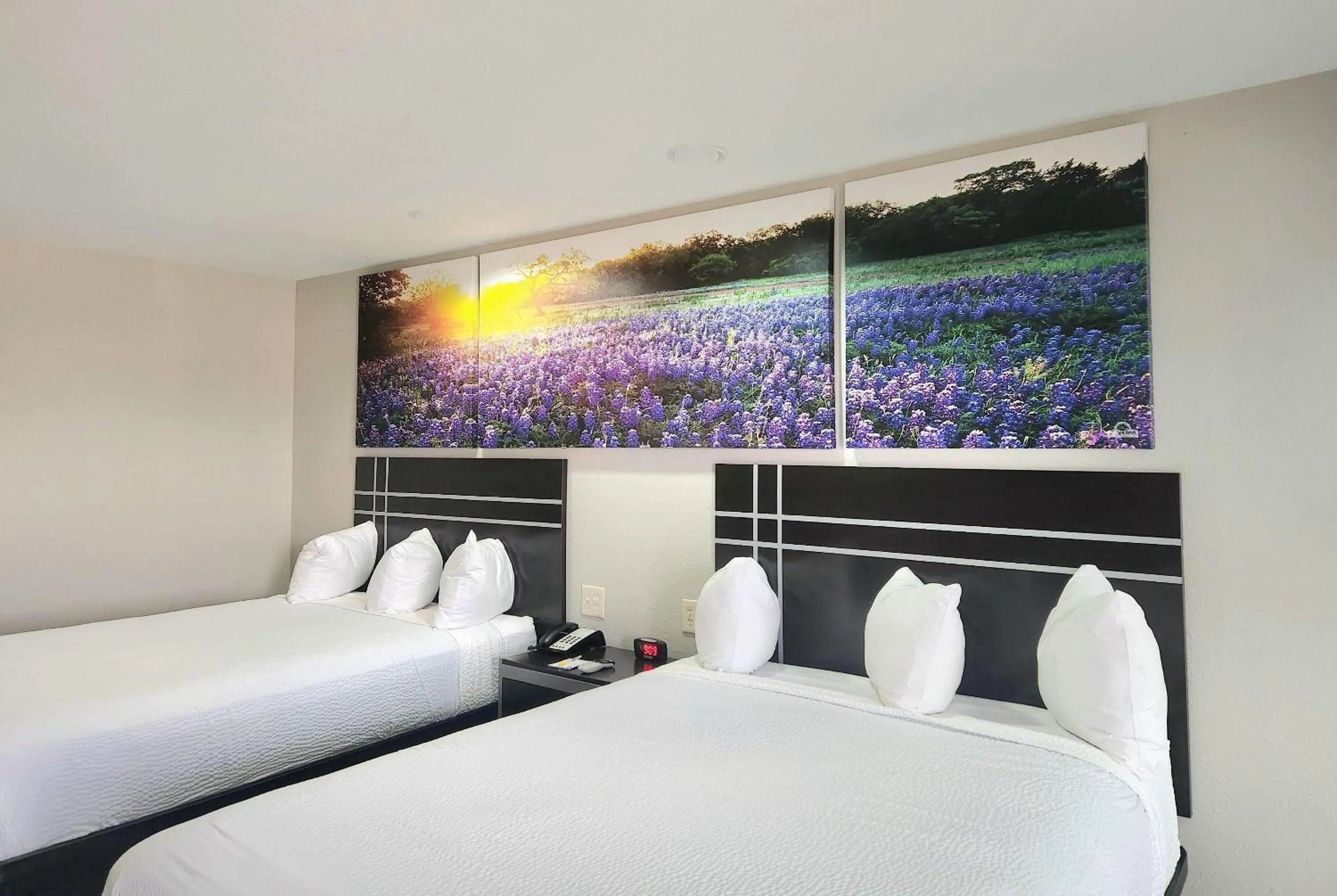 Photo of the whole room, Bed in Days Inn by Wyndham Baytown TX