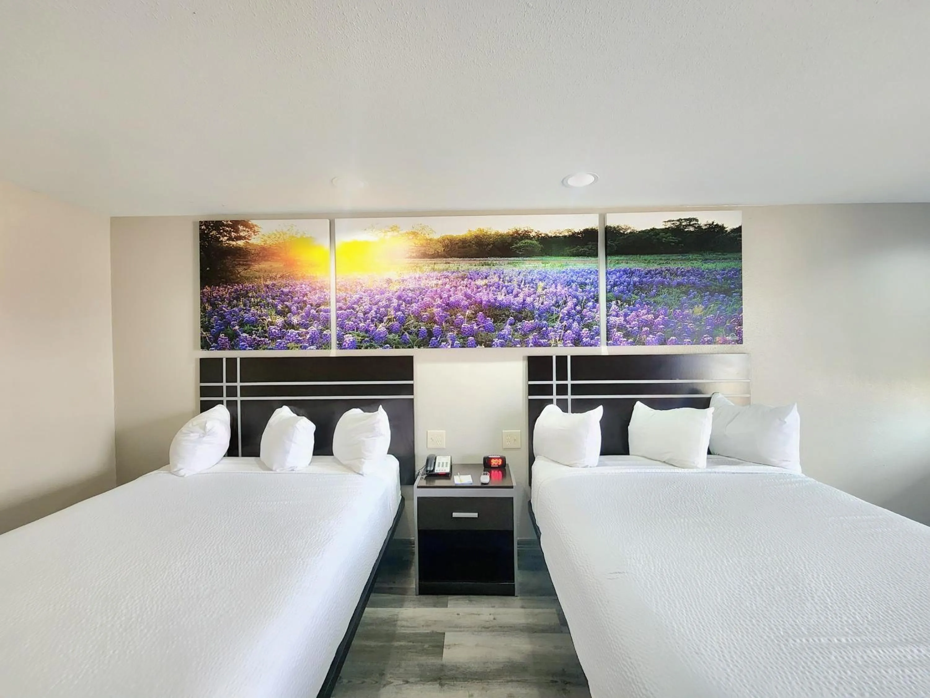 Bedroom, Bed in Days Inn by Wyndham Baytown TX