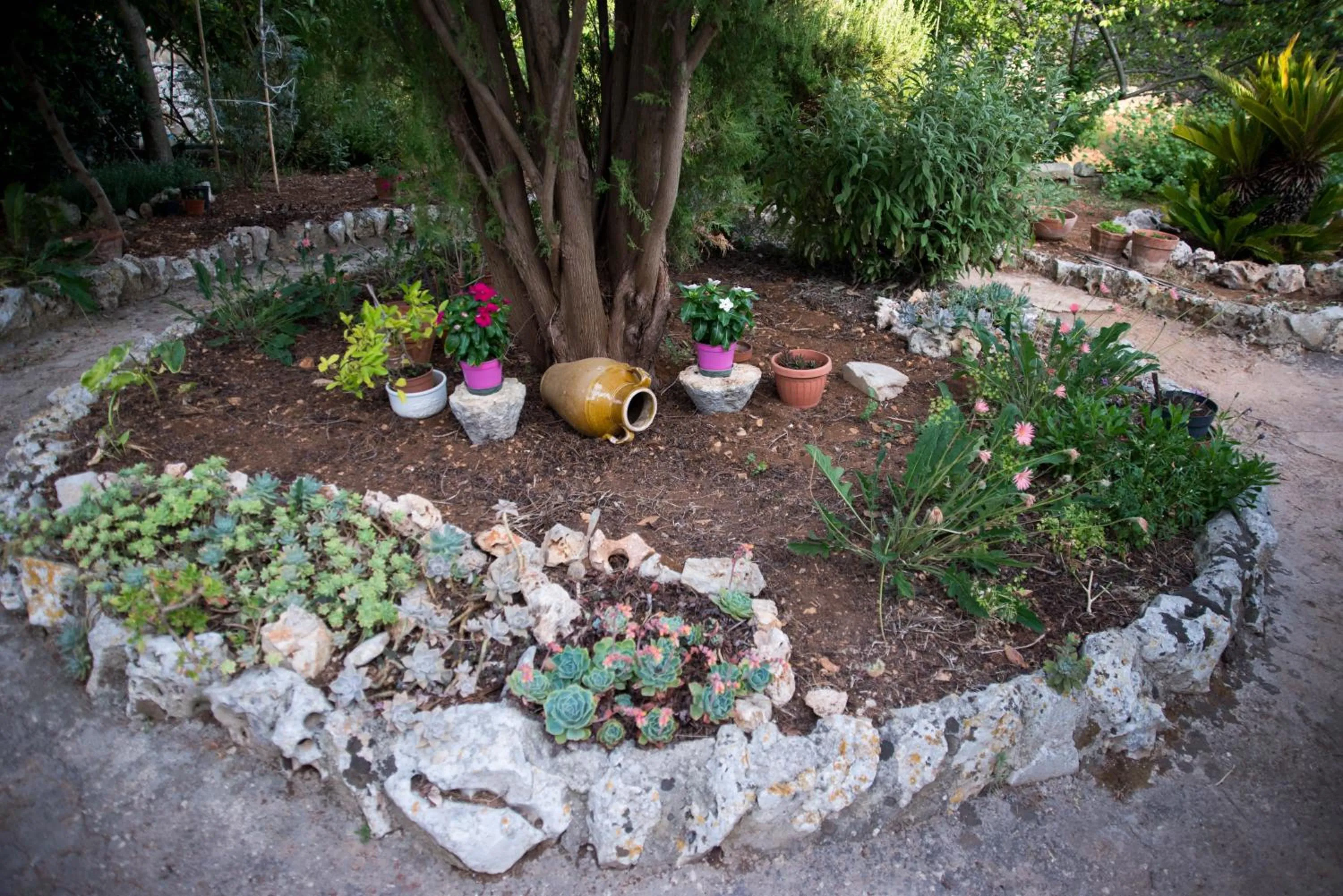 Property building in Giardino Segreto