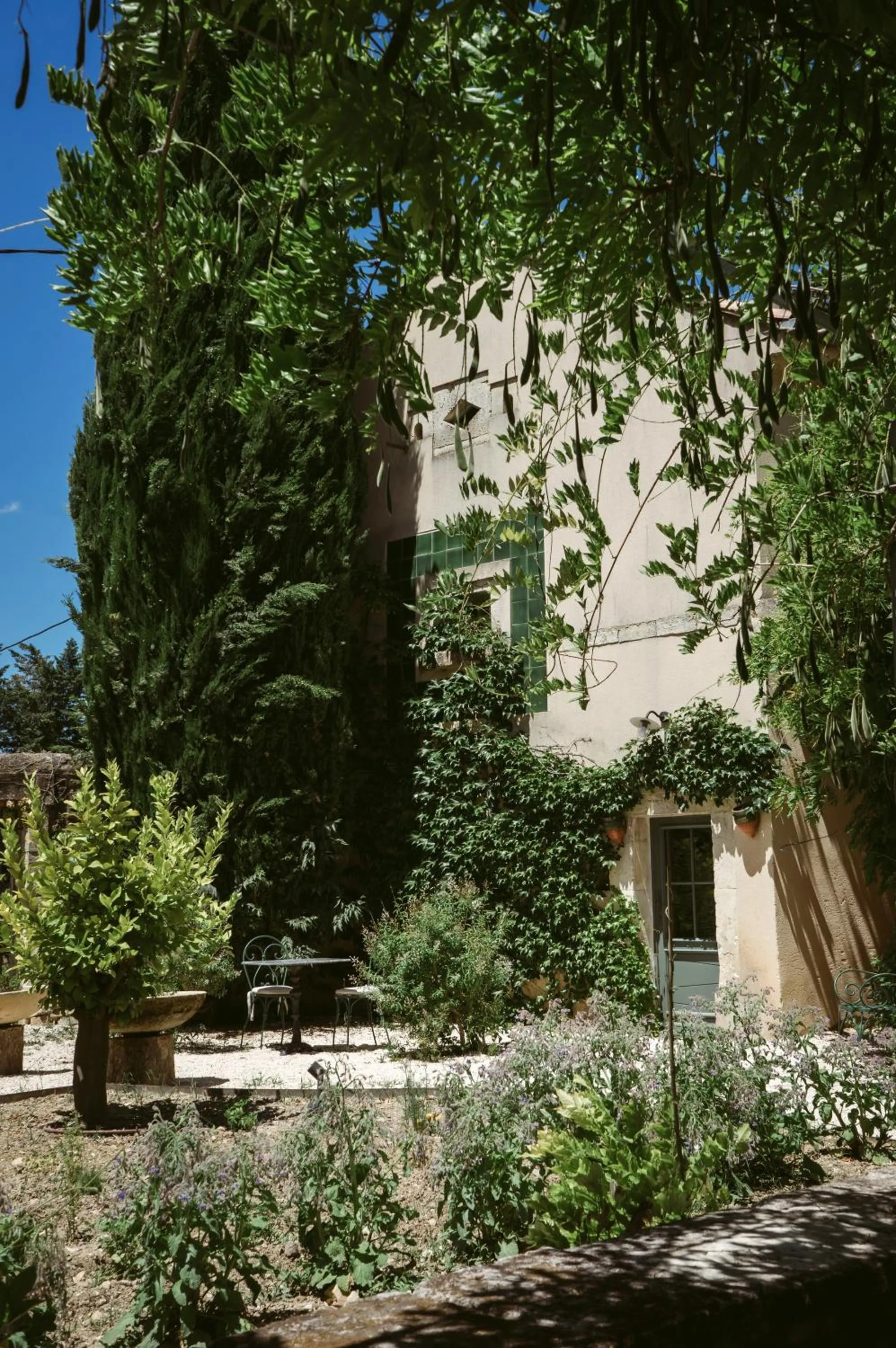 Garden in Château de Montcaud